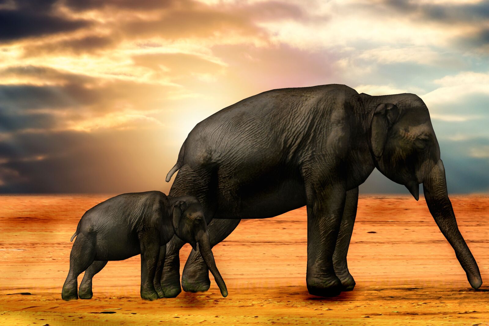 Canon EOS 500D (EOS Rebel T1i / EOS Kiss X3) sample photo. Elephant, africa, sun photography