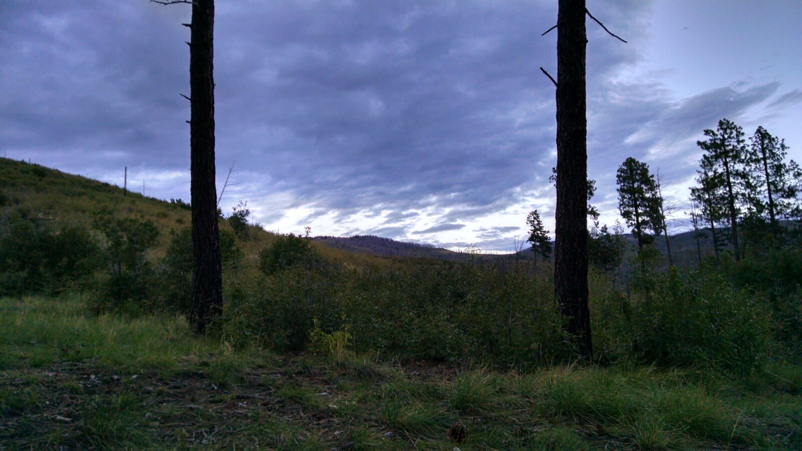 Motorola XT1080 sample photo