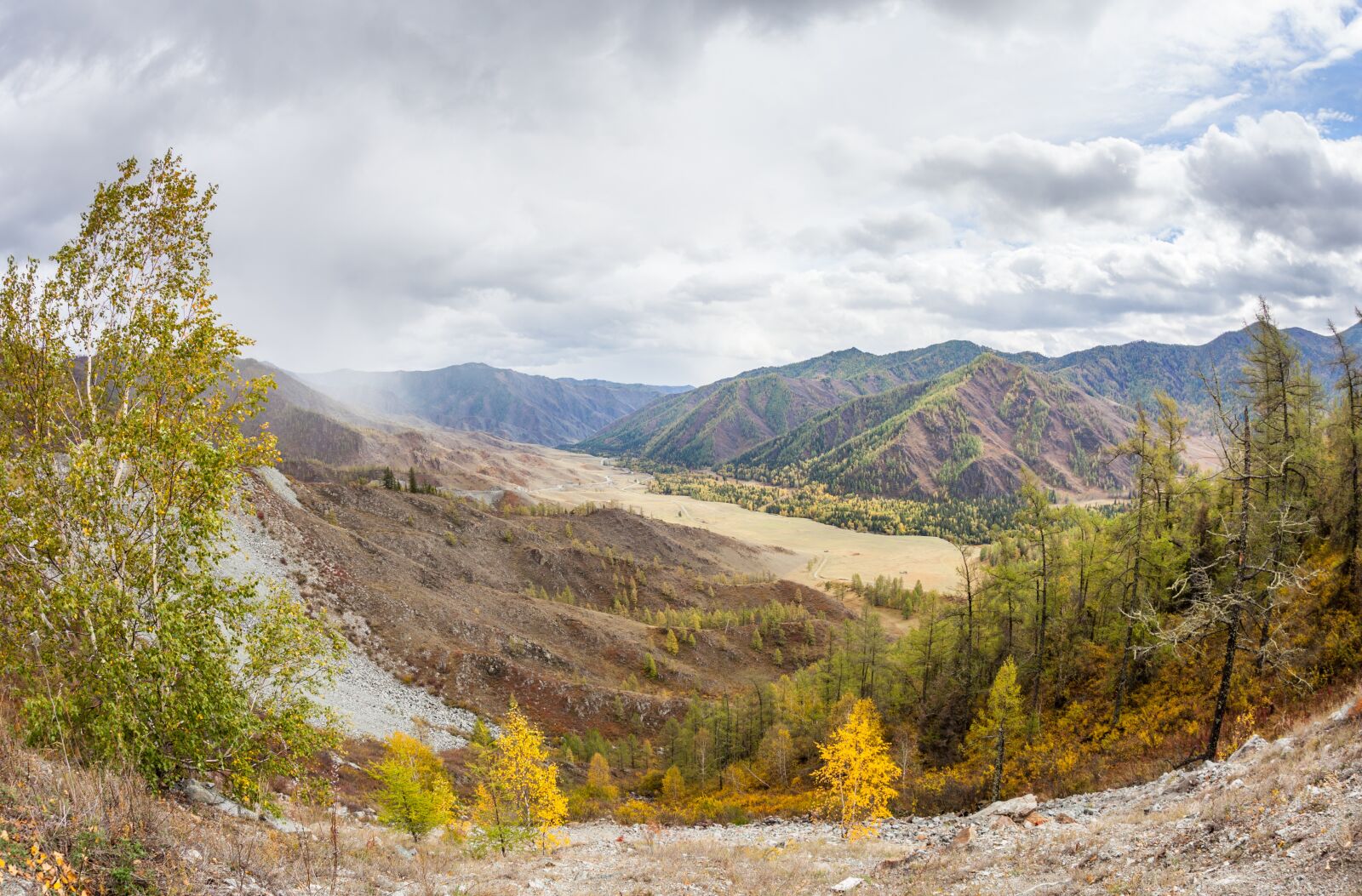 Canon EOS 5D Mark II sample photo. Altai, mountains, trees photography
