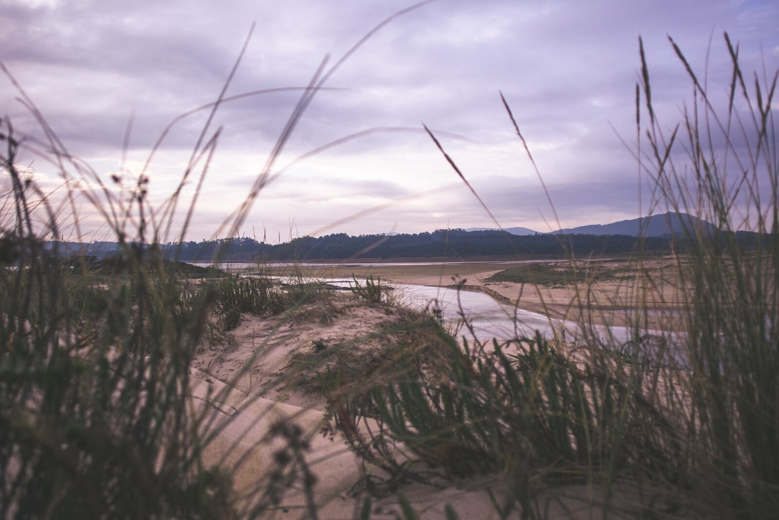 Canon EOS M100 sample photo. Beach, sand, nature photography