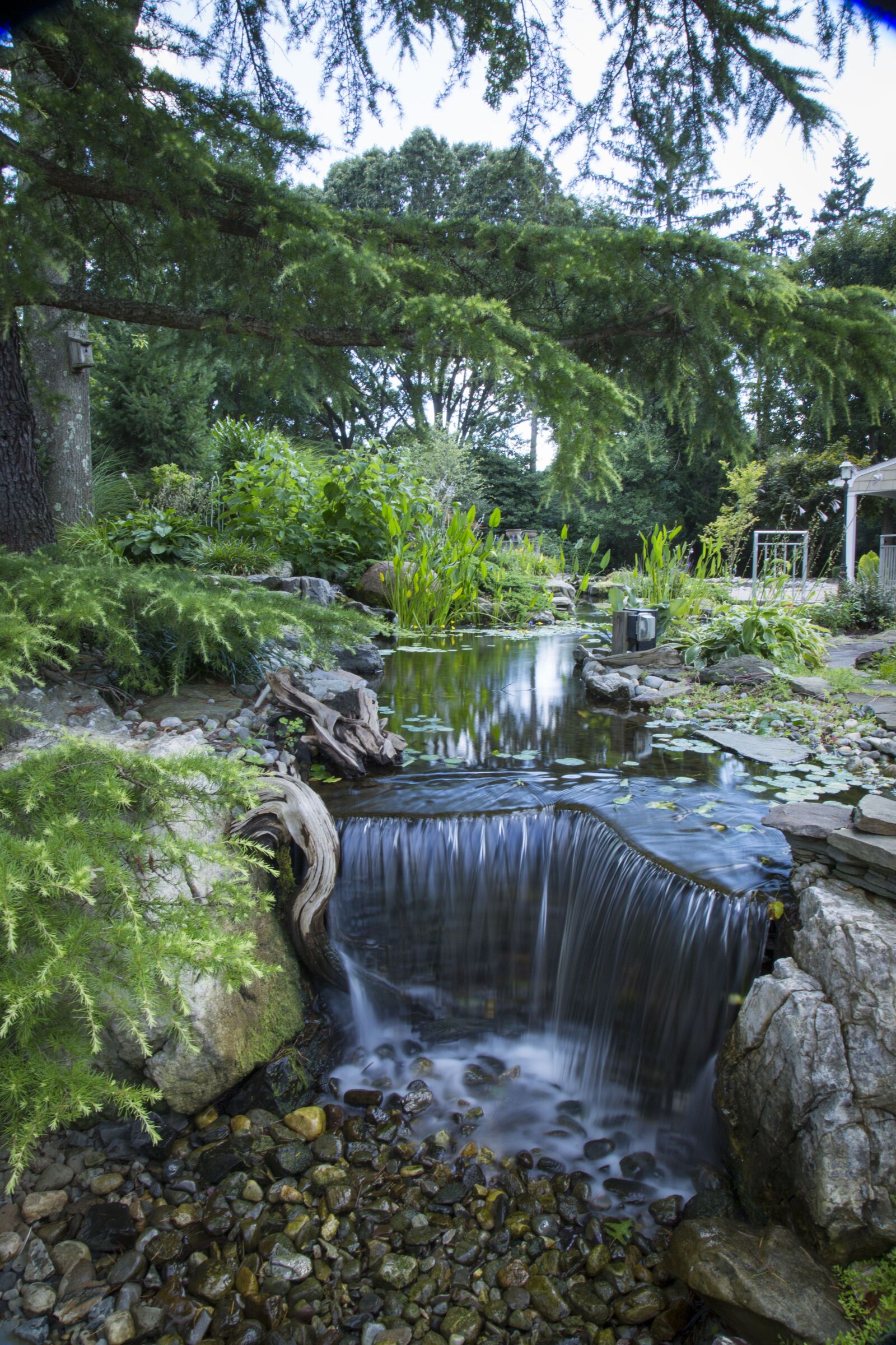 Canon EF 24-105mm F4L IS USM sample photo. Waterfalls, pond, fish pond photography