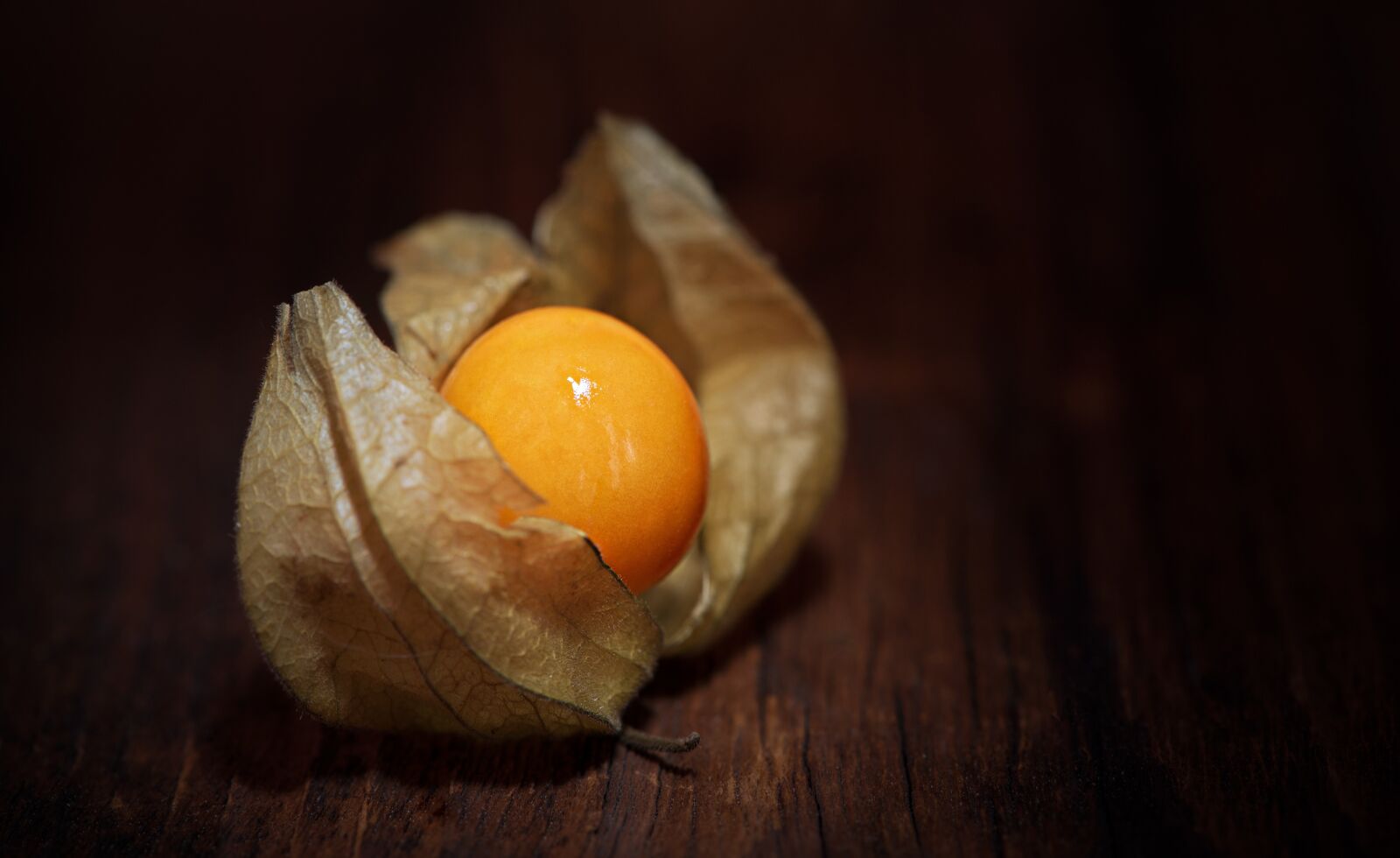 Nikon D750 sample photo. Physalis, physalis peruviana, cape photography