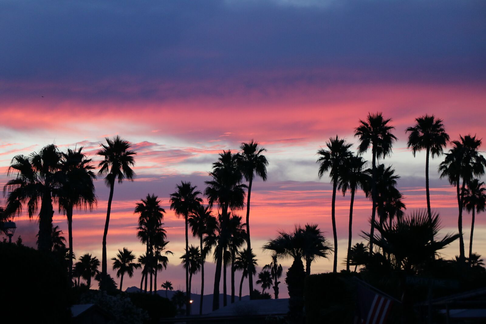 Canon EF-S 18-135mm F3.5-5.6 IS USM sample photo. Sunrise, palm trees, nature photography
