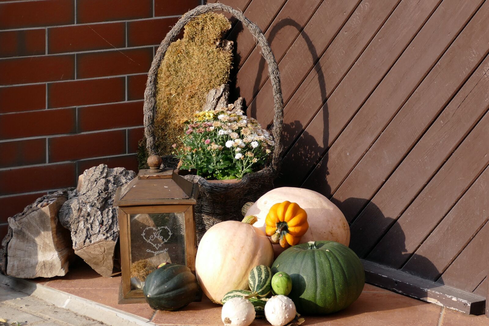 Panasonic Lumix DMC-FZ1000 sample photo. Autumn, thanksgiving, decoration photography