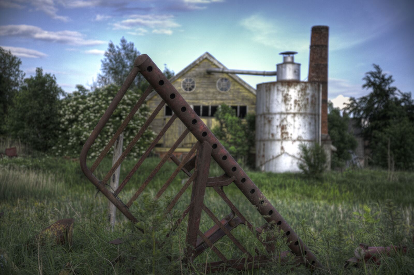 Nikon D600 sample photo. Farm, grass, green, hdr photography