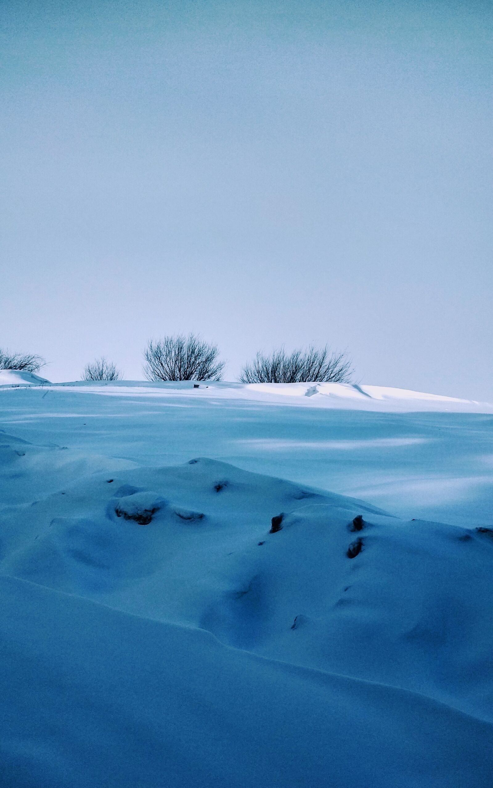 Xiaomi Redmi 4X sample photo. Snow, blue, winter photography