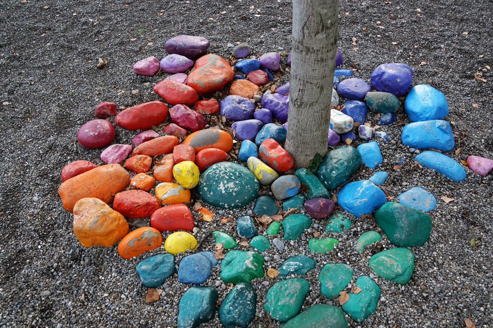 Sony ILCA-77M2 + Sony DT 16-50mm F2.8 SSM sample photo. Stones, colorful, tree photography