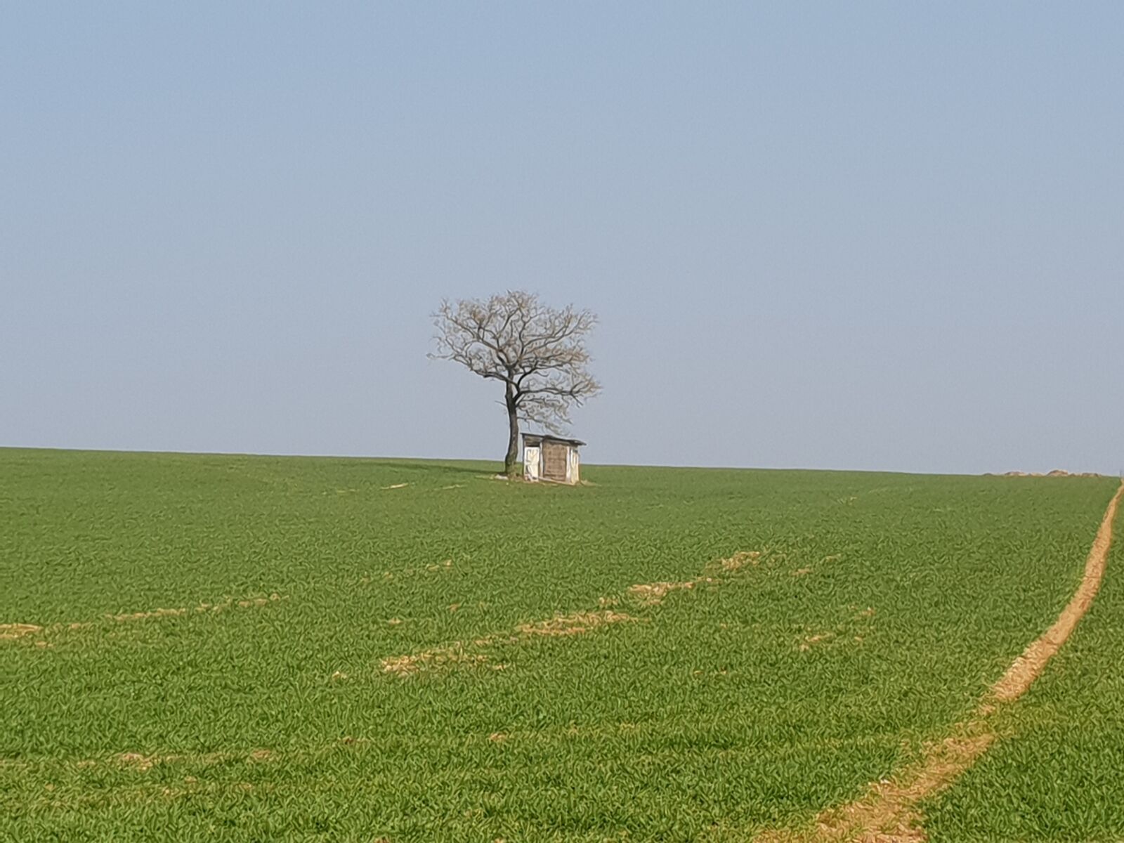 Samsung SM-G960F sample photo. Landscape, solitude, tree photography