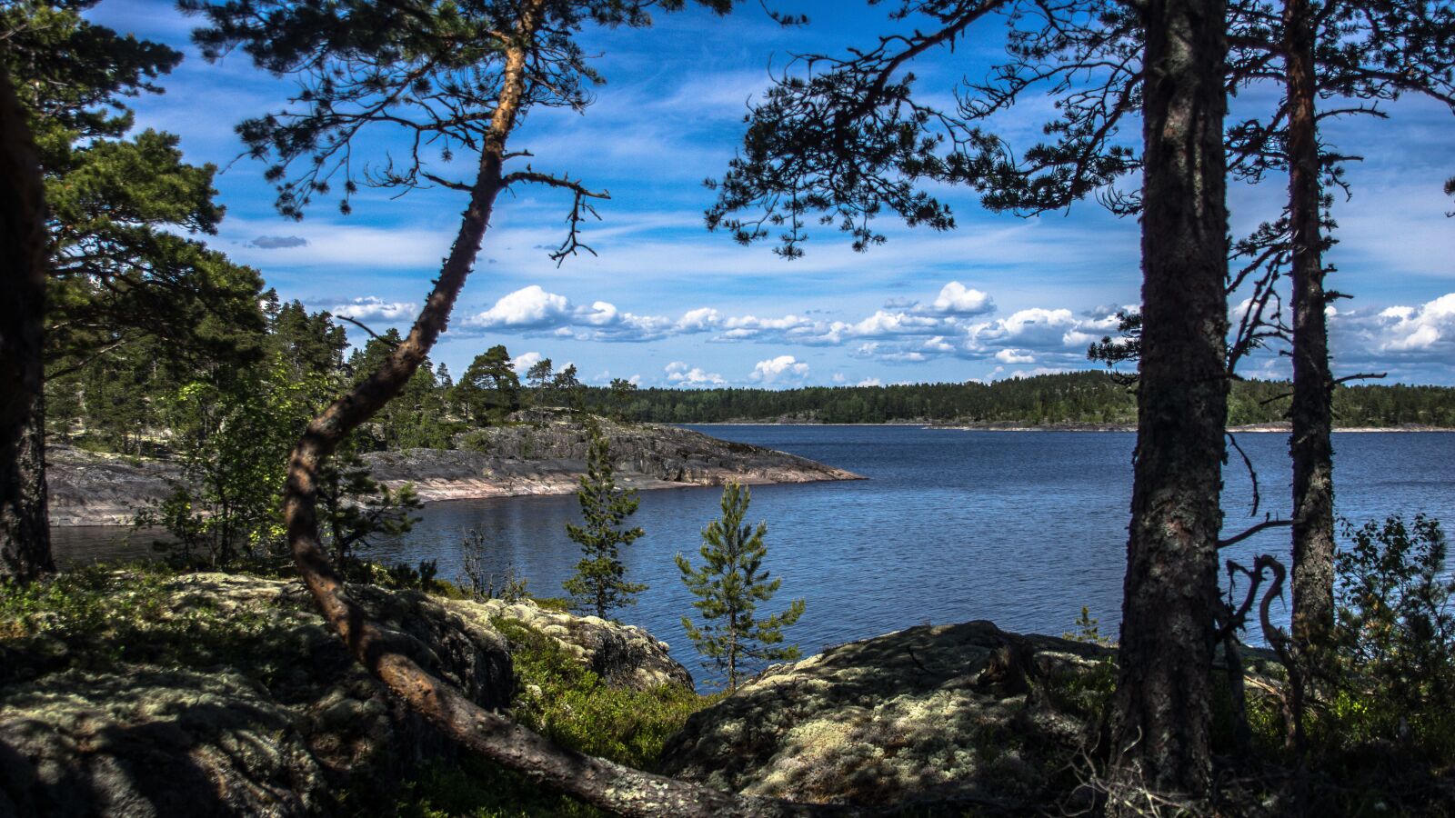 Sony SLT-A77 + 24-70mm F2.8 sample photo. Nature, ladoga, skerries photography