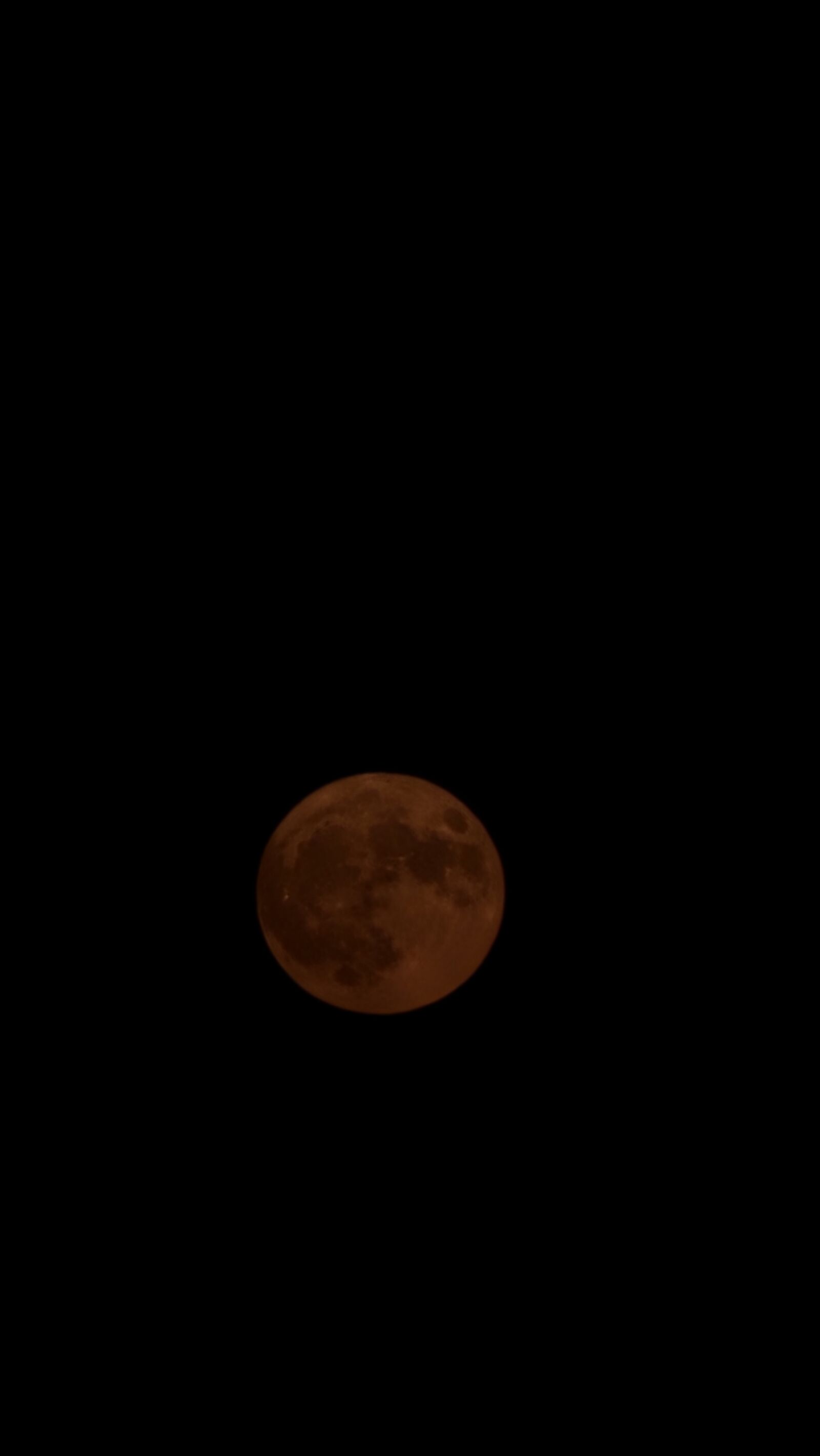 Samsung Galaxy S25 Ultra sample photo