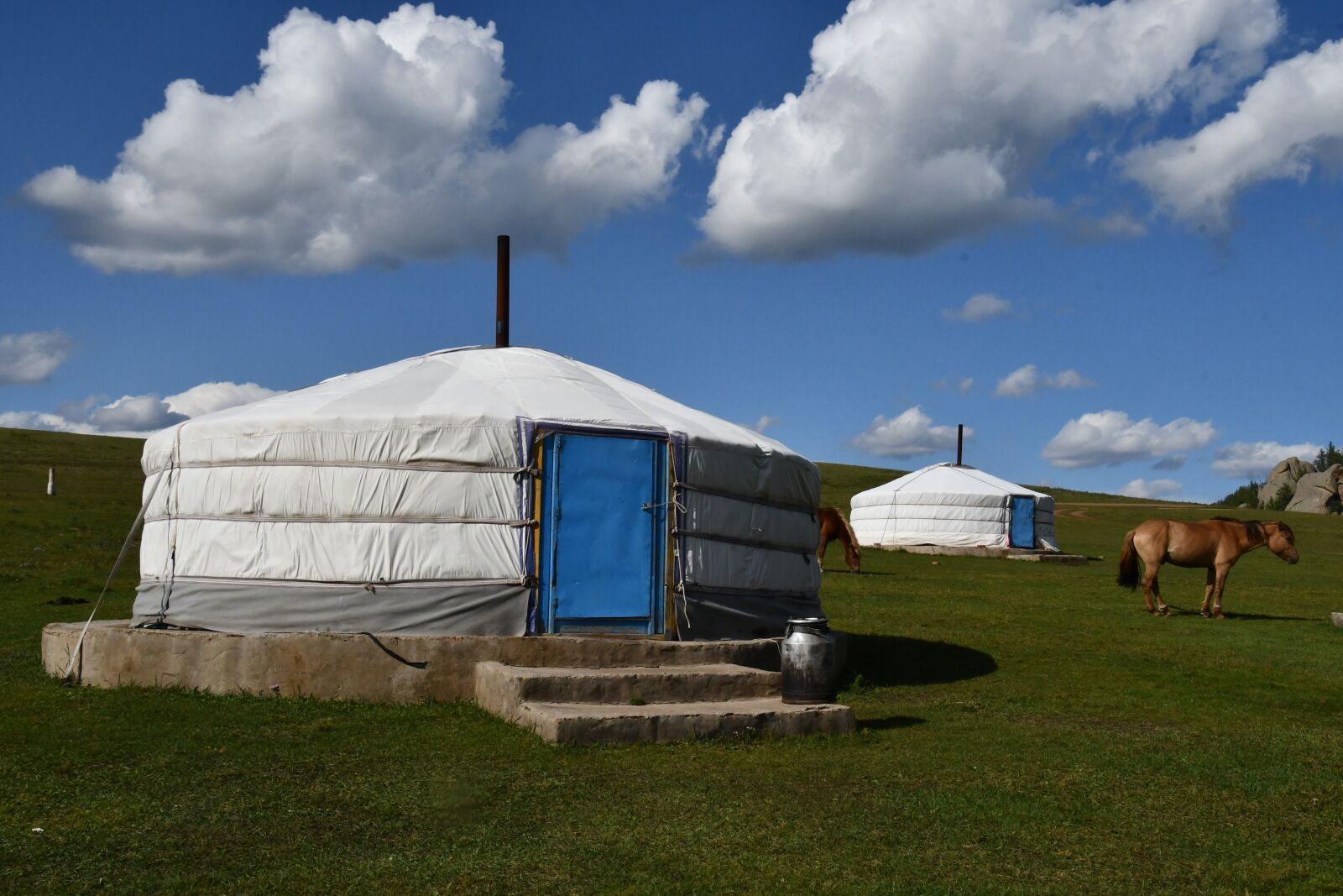 Nikon D7500 sample photo. Eng, mongolia, house photography