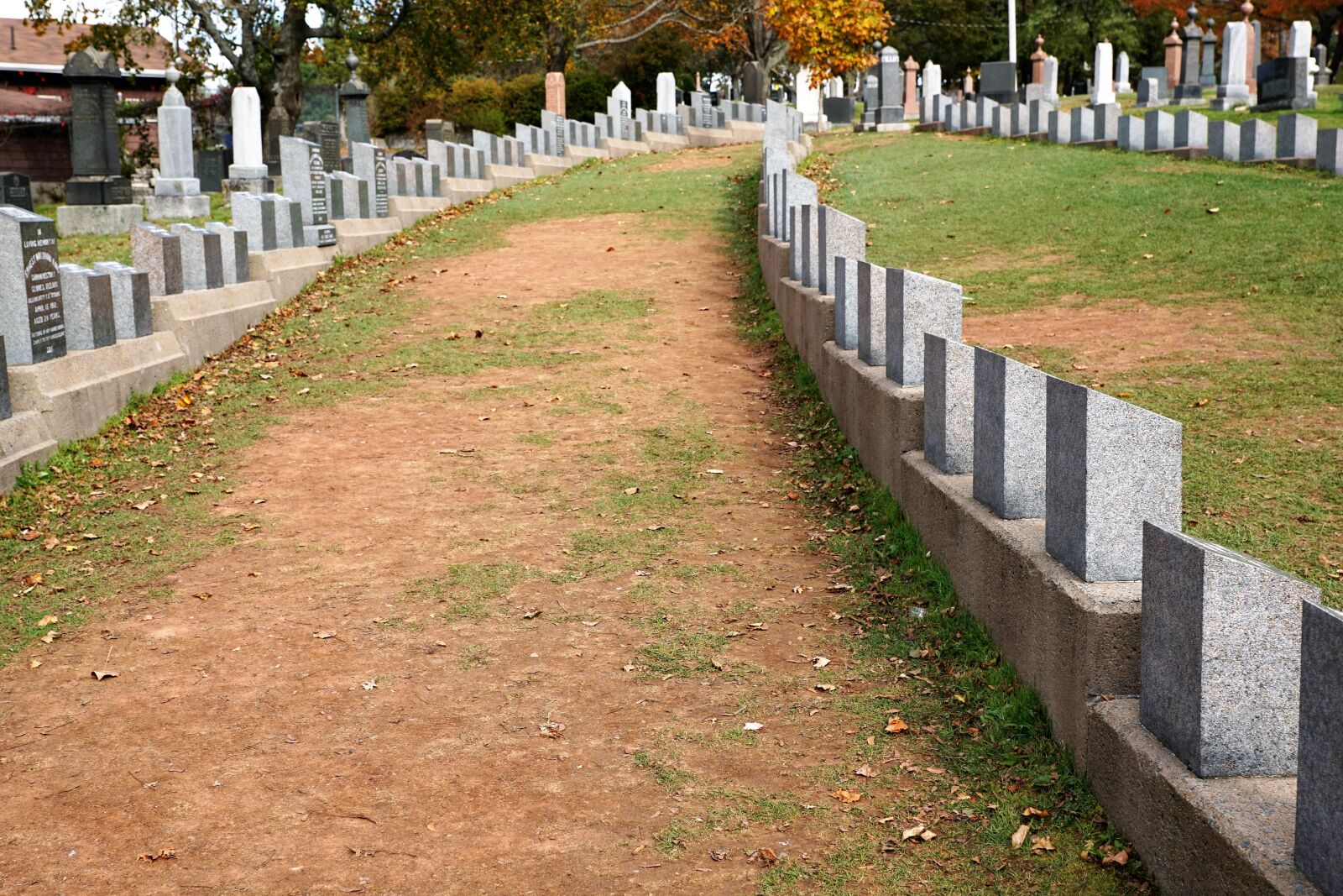 Sony ILCA-77M2 + Sony DT 16-50mm F2.8 SSM sample photo. Cemetery, titanik, halifax photography