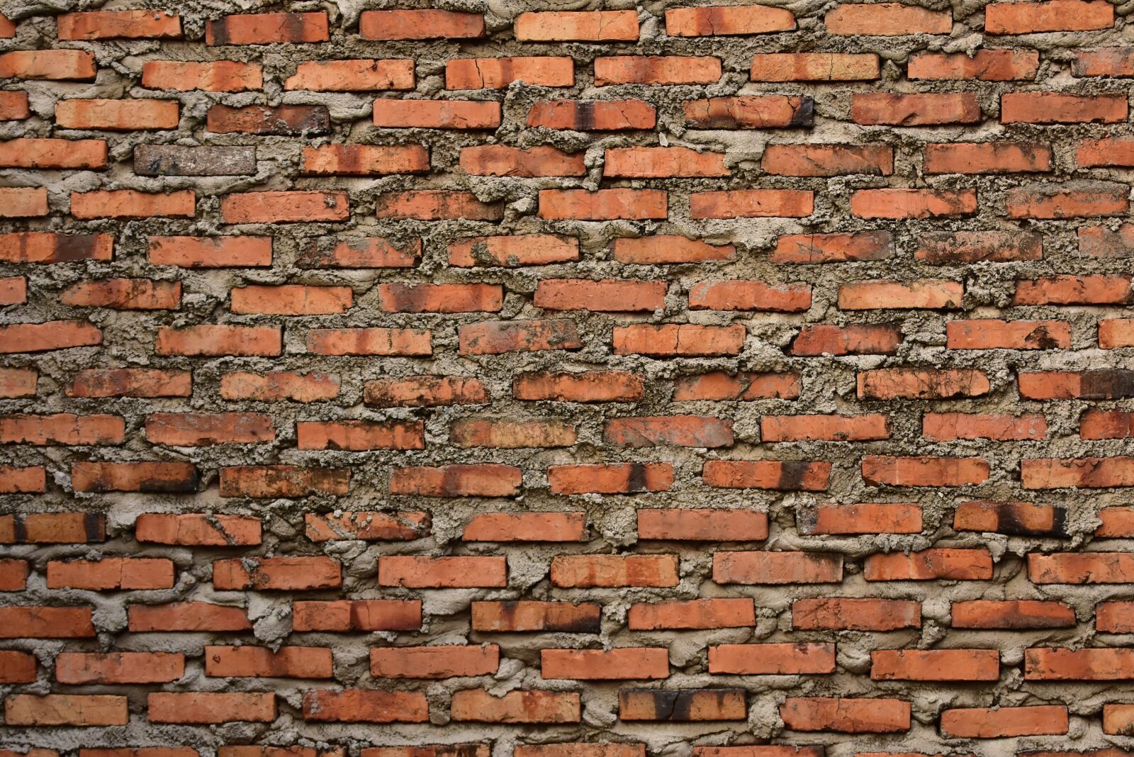 Nikon D3400 sample photo. Brickwall, brickwork, rough photography
