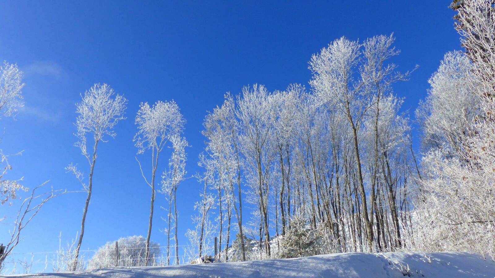 Panasonic Lumix DMC-FZ200 sample photo. Landscape, winter, winter landscape photography