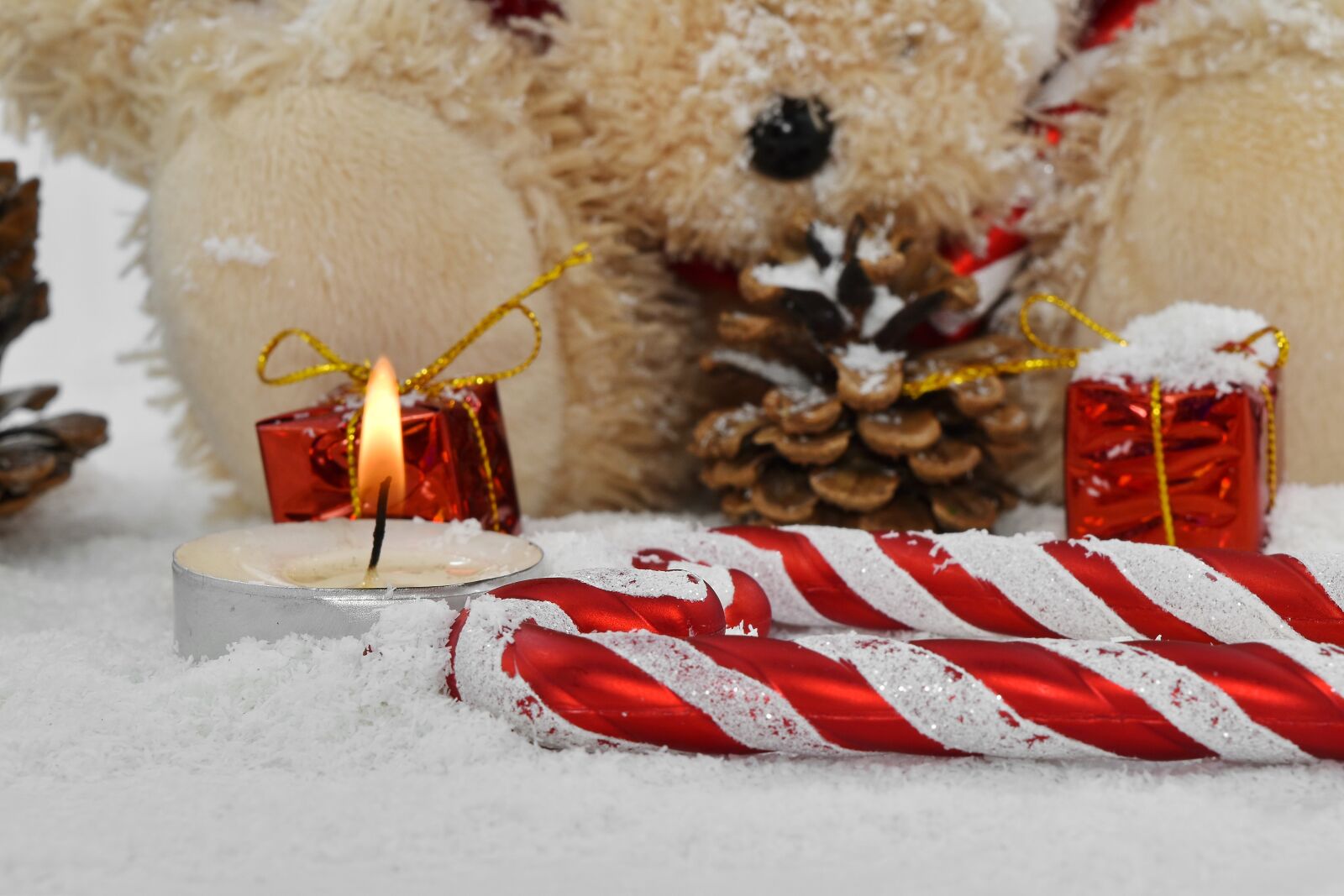 Nikon D5500 sample photo. Candle, candlelight, christianity, christmas photography