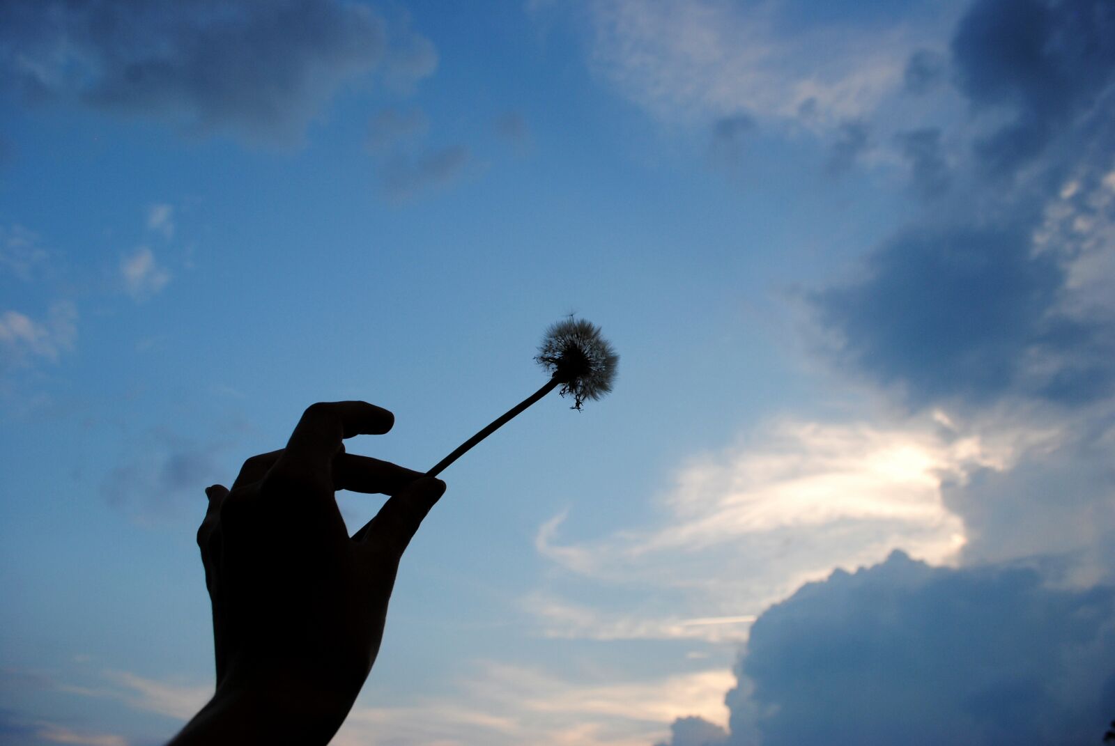 Nikon D3000 sample photo. Blue, hand, nature, sky photography