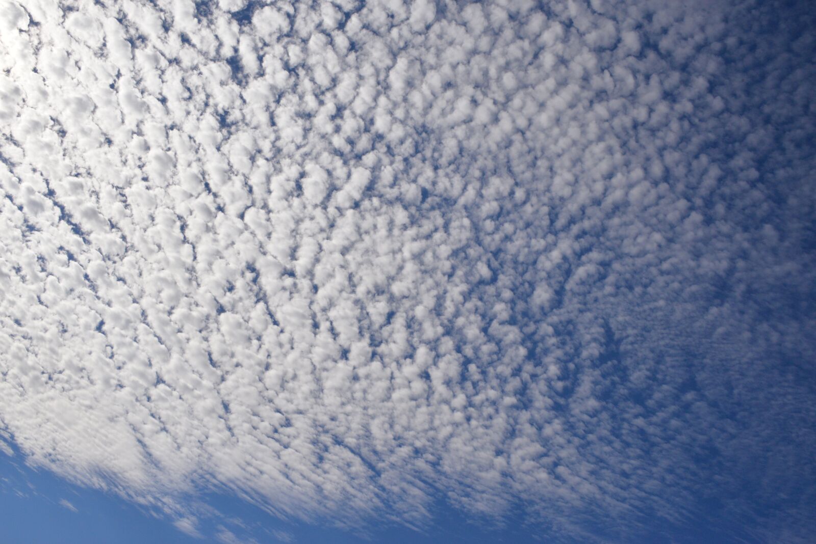 Nikon D610 sample photo. Sky, blue, cloud photography