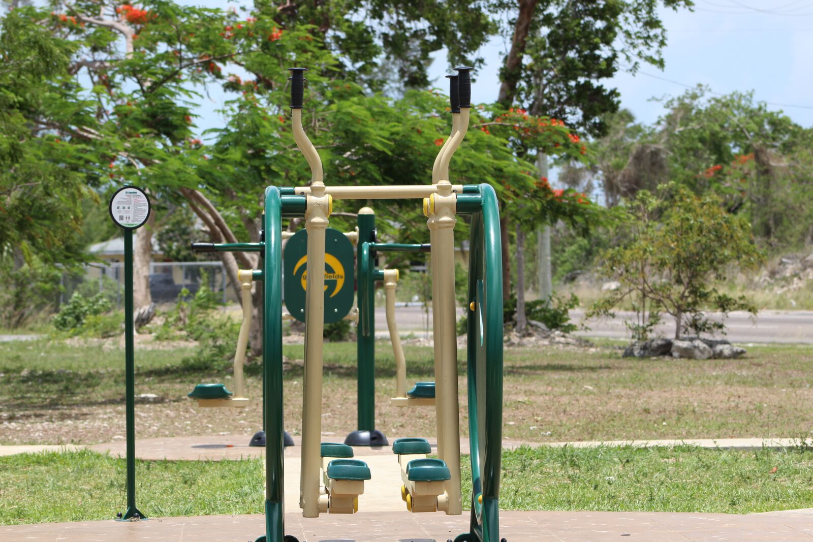 Canon EOS 1300D (EOS Rebel T6 / EOS Kiss X80) sample photo. Tree, summer, nature photography