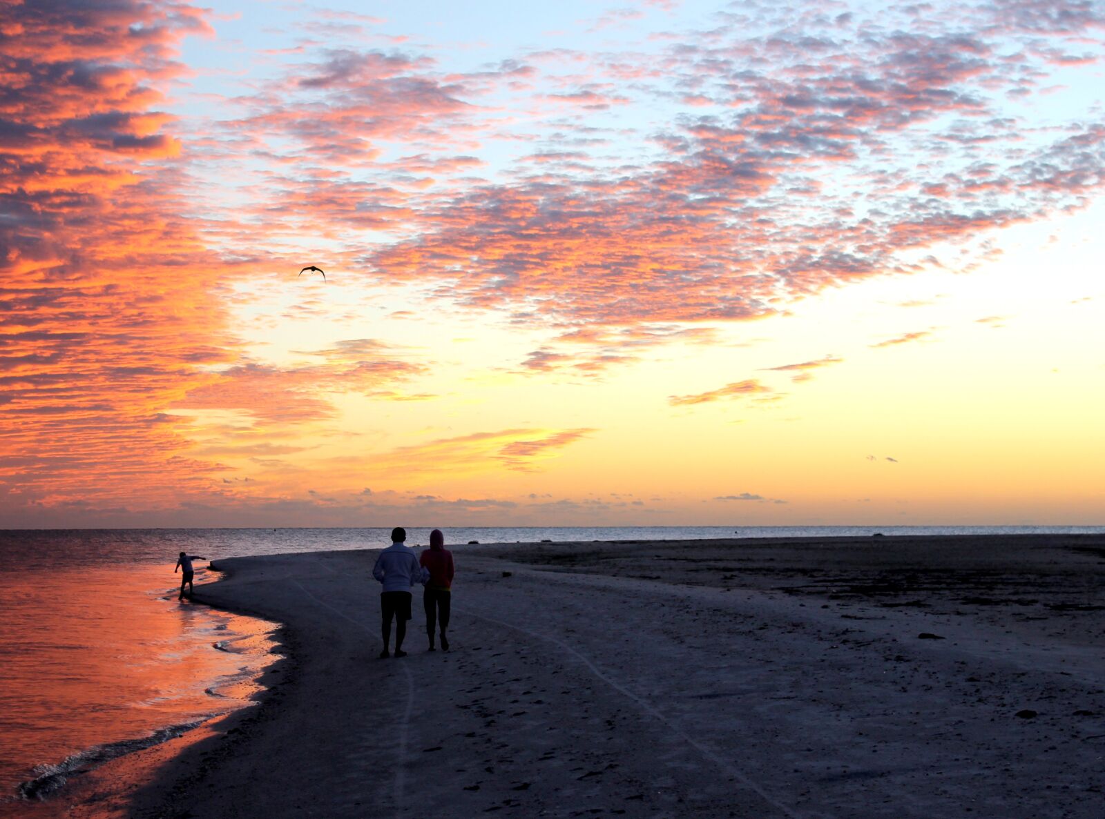 Canon EOS 1100D (EOS Rebel T3 / EOS Kiss X50) sample photo. Sunset, fort, meyers photography
