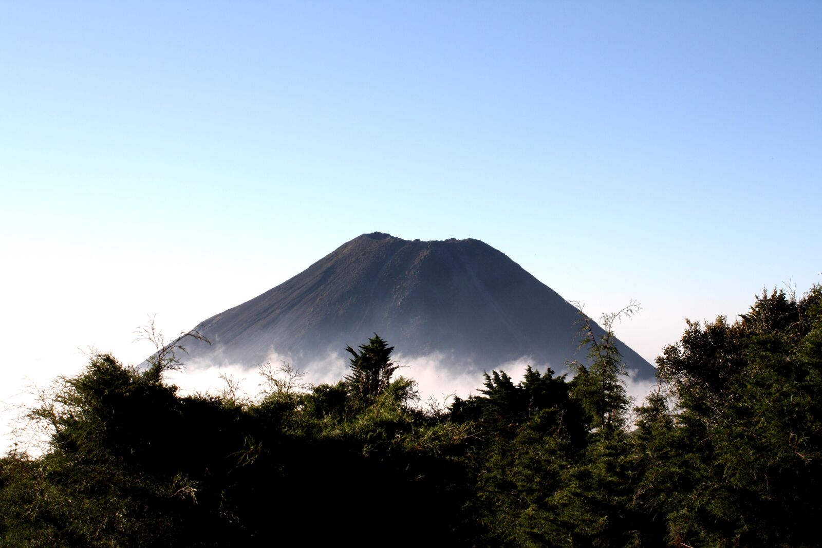 Canon EOS 1000D (EOS Digital Rebel XS / EOS Kiss F) sample photo. Izalco, volcano, partially, covered photography