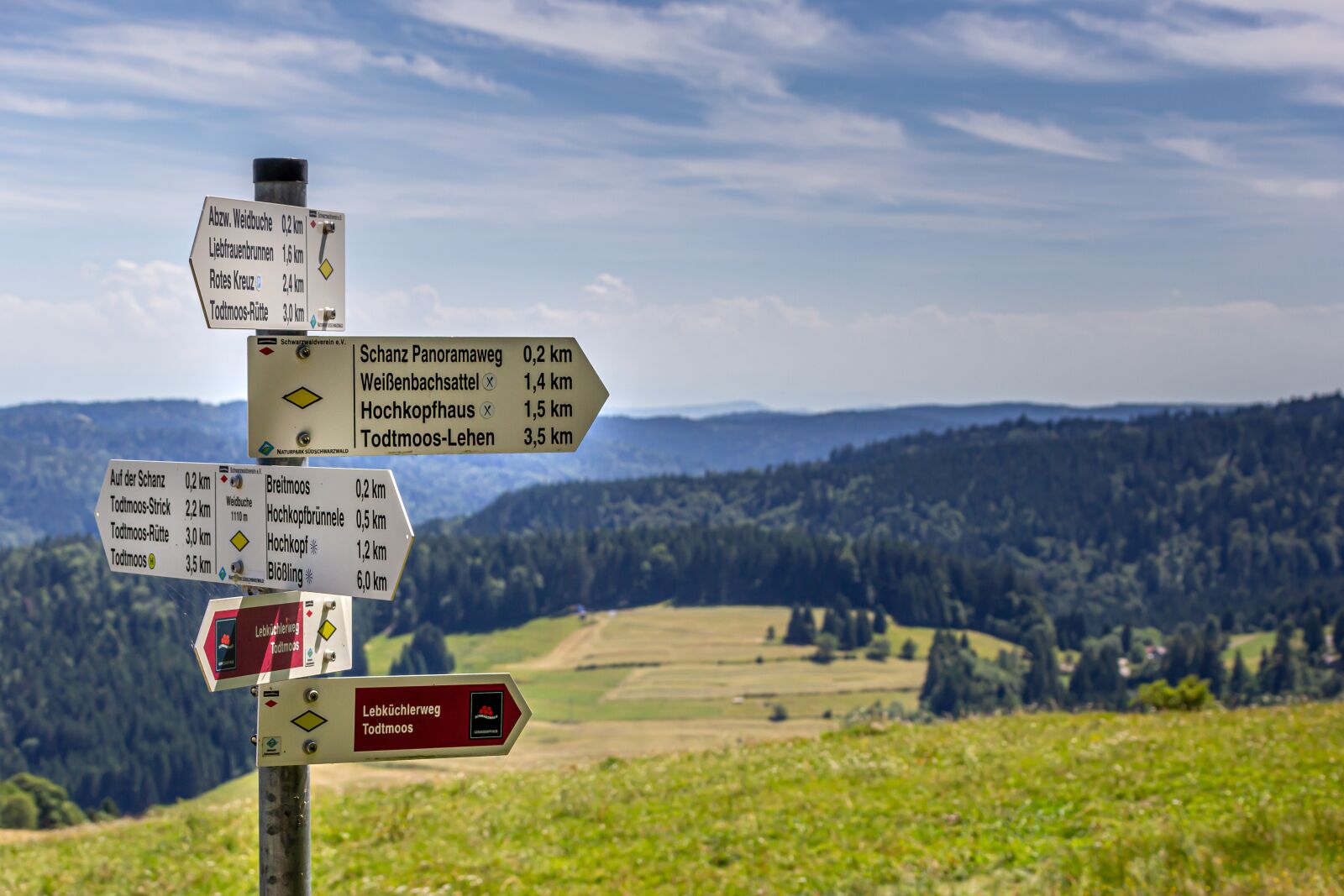 Canon EOS 60D sample photo. Directory, black forest, landscape photography