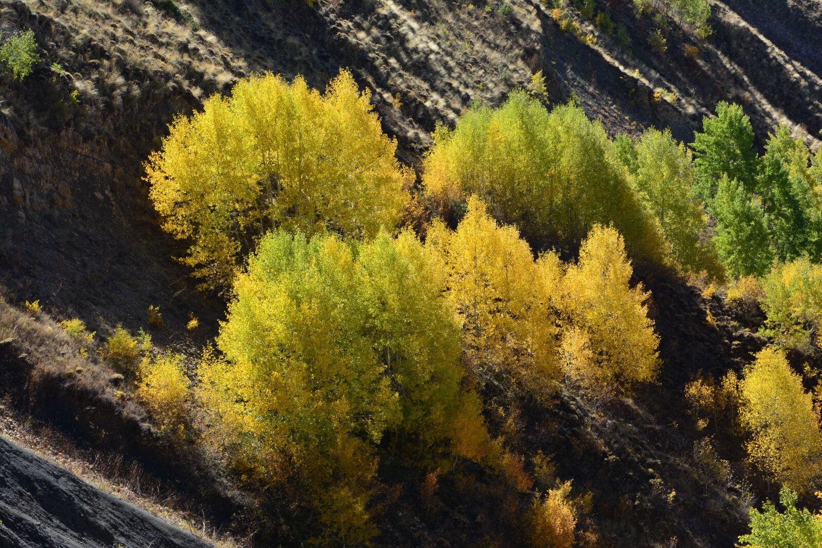 Nikon D7100 sample photo. Autumn, season, nature photography