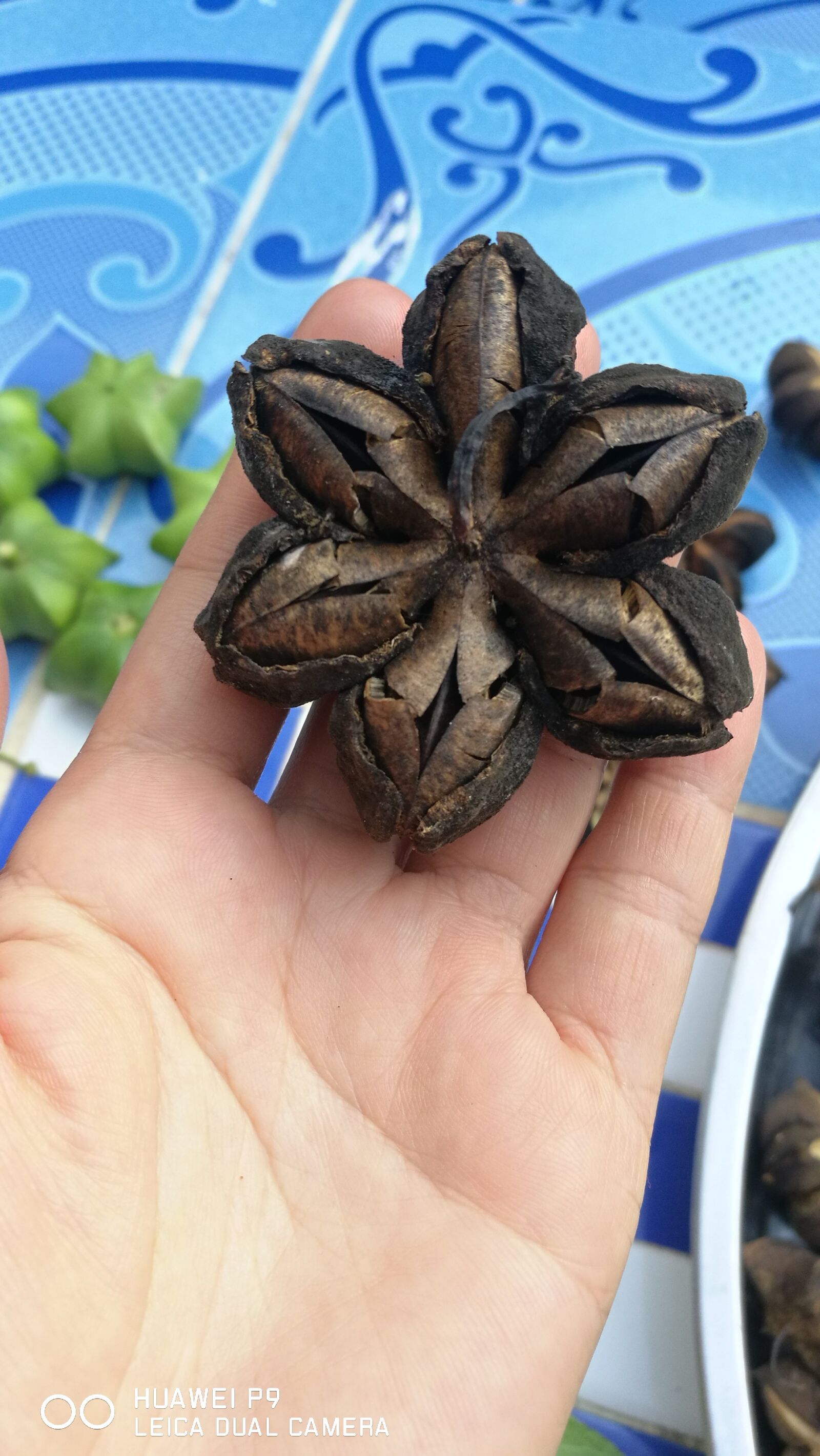 HUAWEI P9 sample photo. Star nuts inca, star photography