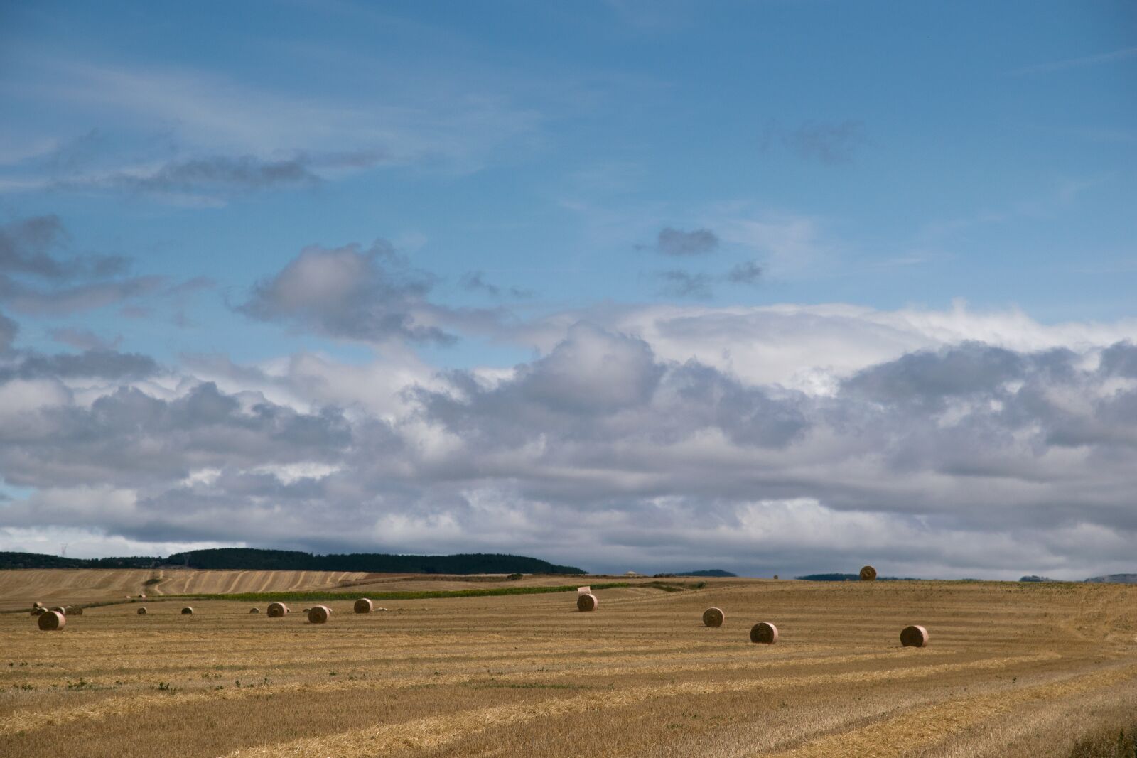 Nikon D5300 sample photo. Palencia, mowing, straw photography