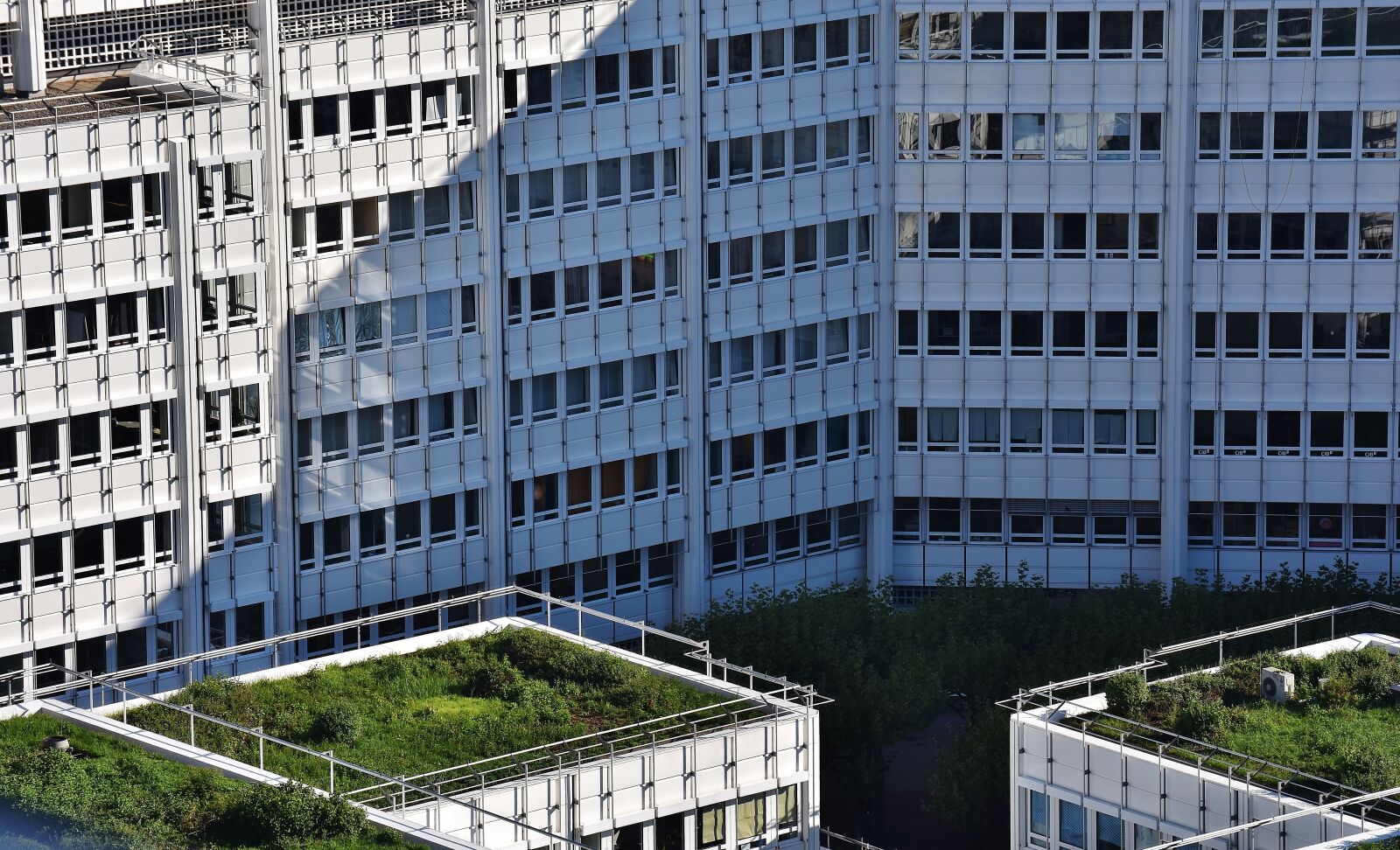 Nikon D7200 sample photo. Skyscraper, building complex, green photography