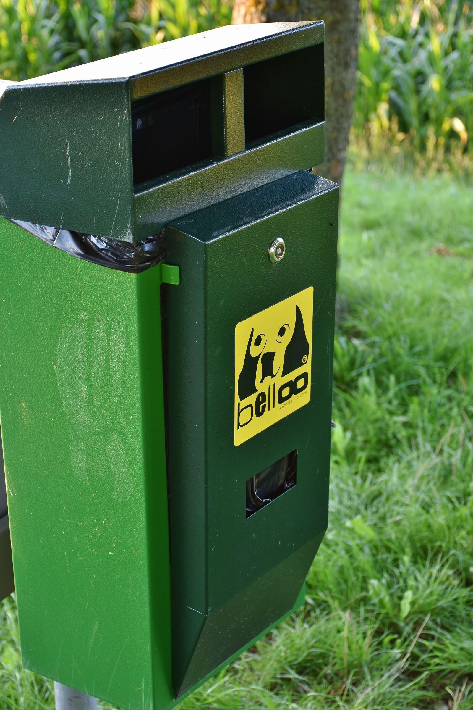 Nikon D7200 sample photo. Dog feces, dog, kot photography
