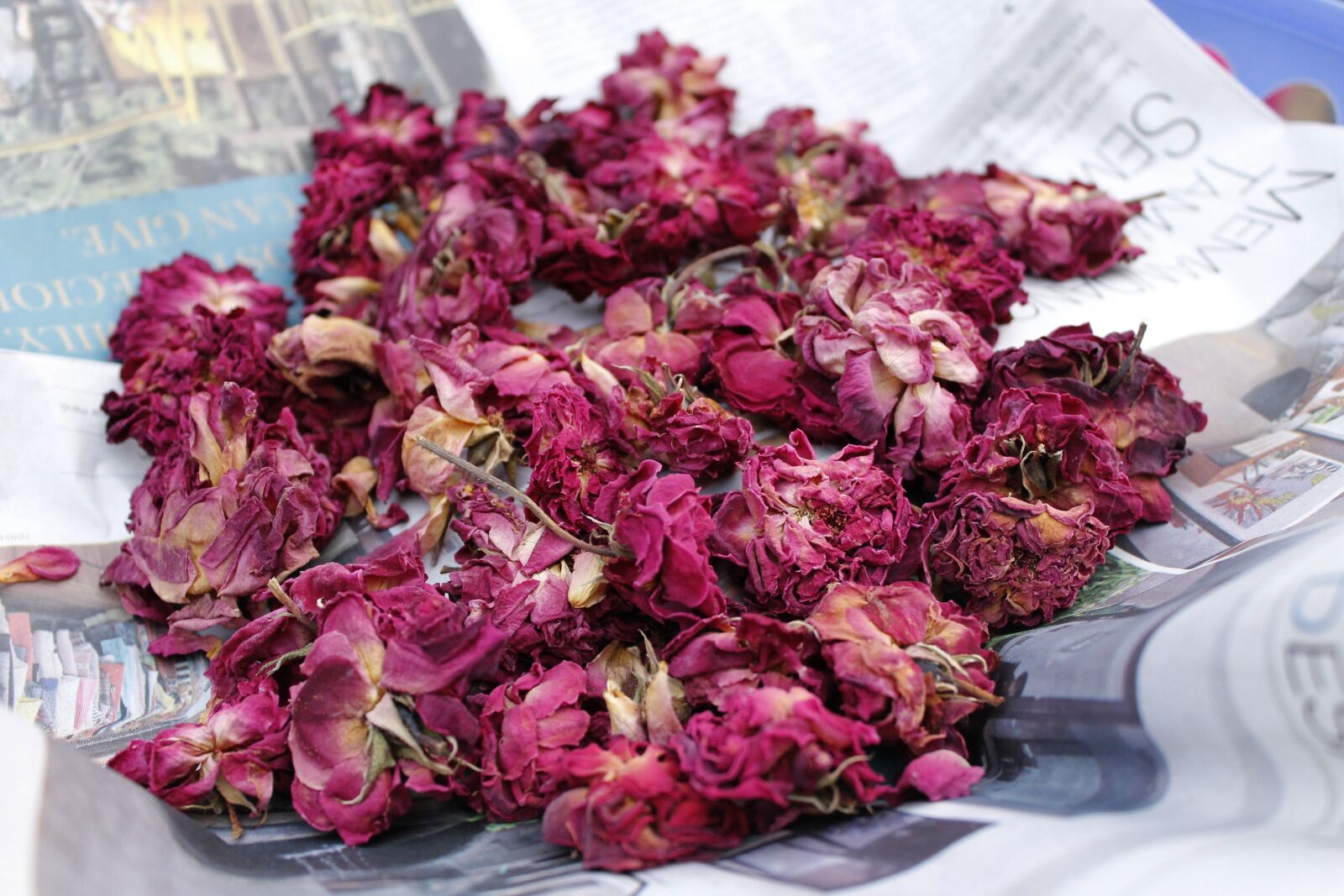 Canon EOS 1100D (EOS Rebel T3 / EOS Kiss X50) sample photo. Dry roses, potpourri, petal photography