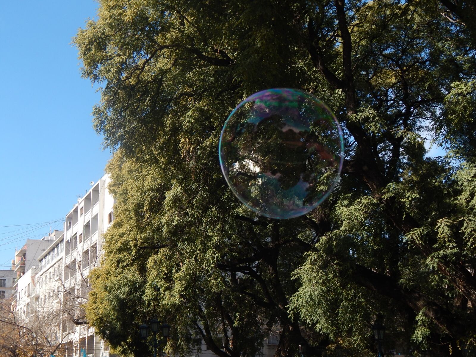 Nikon Coolpix L820 sample photo. Soap bubble, bubble, colors photography