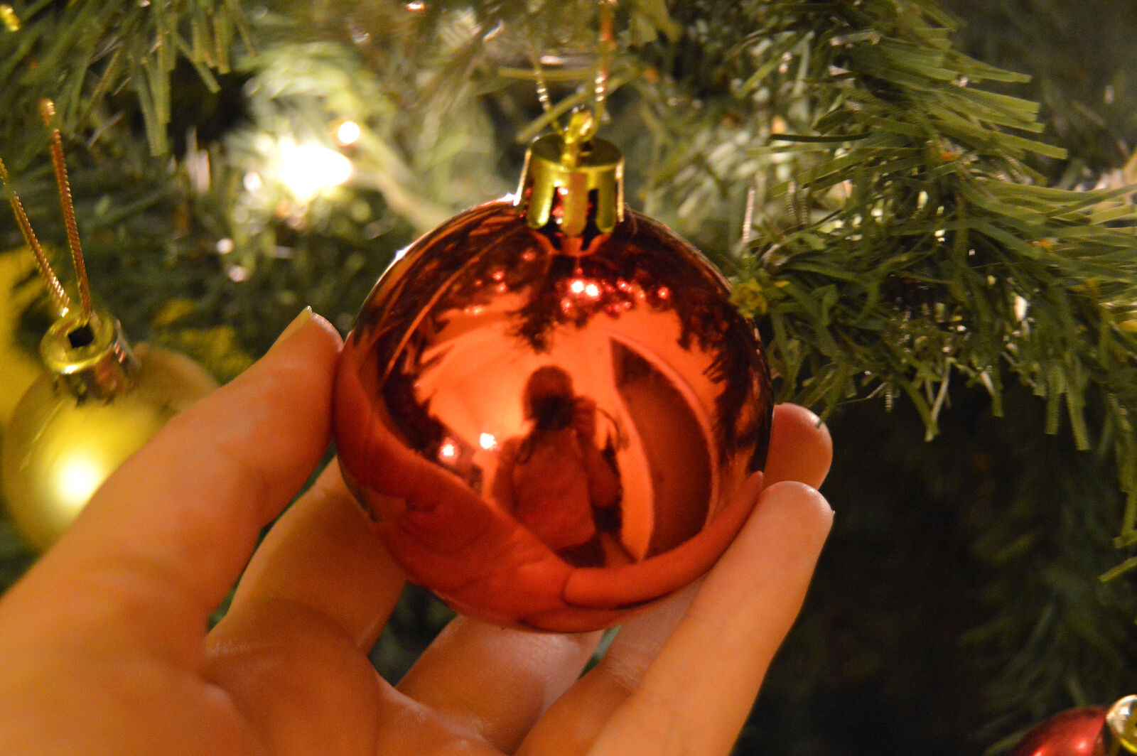 Nikon D3200 sample photo