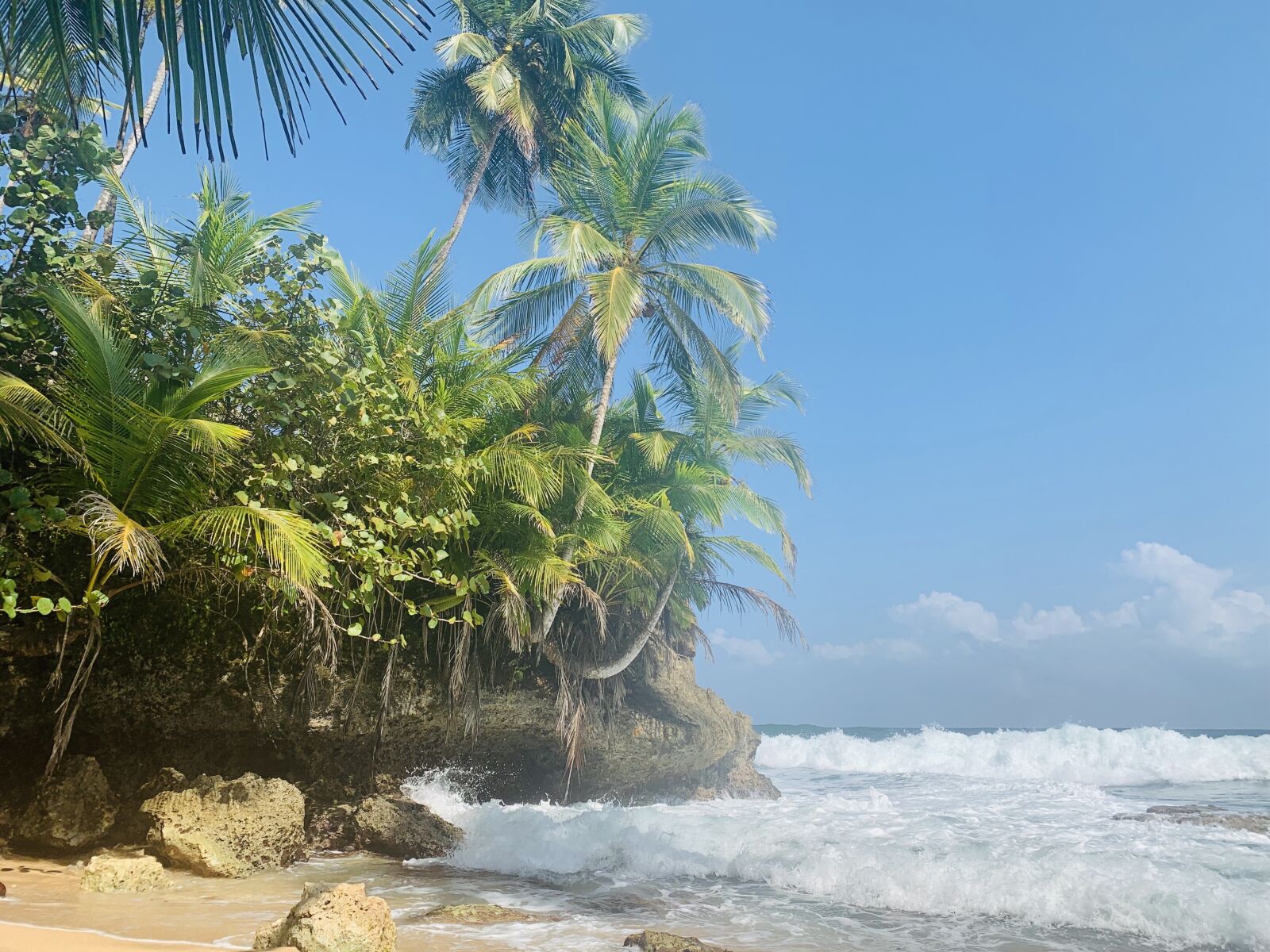 Apple iPhone XS Max sample photo. Beach, manzanillo, puerto limon photography
