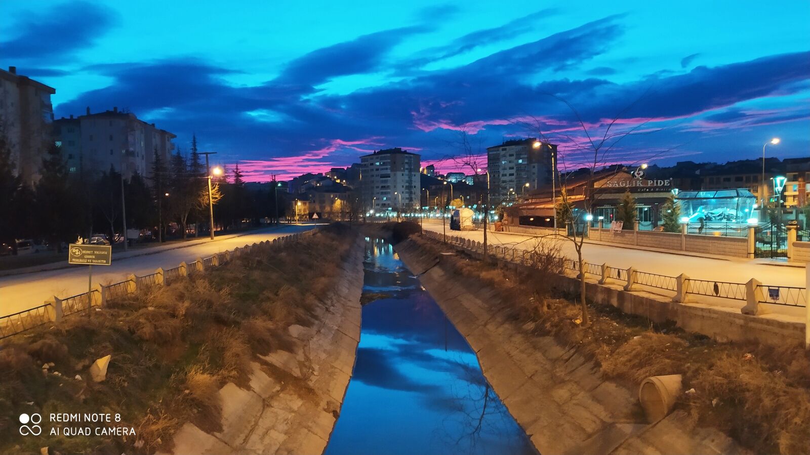 Xiaomi Redmi Note 8 sample photo. Night, badger, light photography