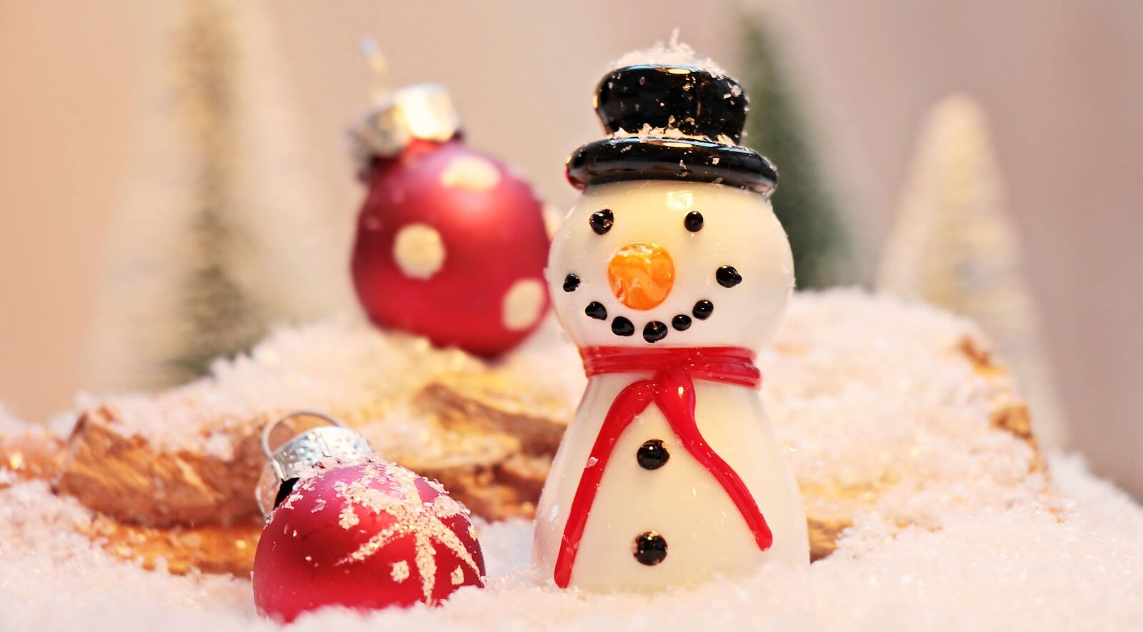 Canon EOS 550D (EOS Rebel T2i / EOS Kiss X4) sample photo. Winter, snowman, figure, indoor photography