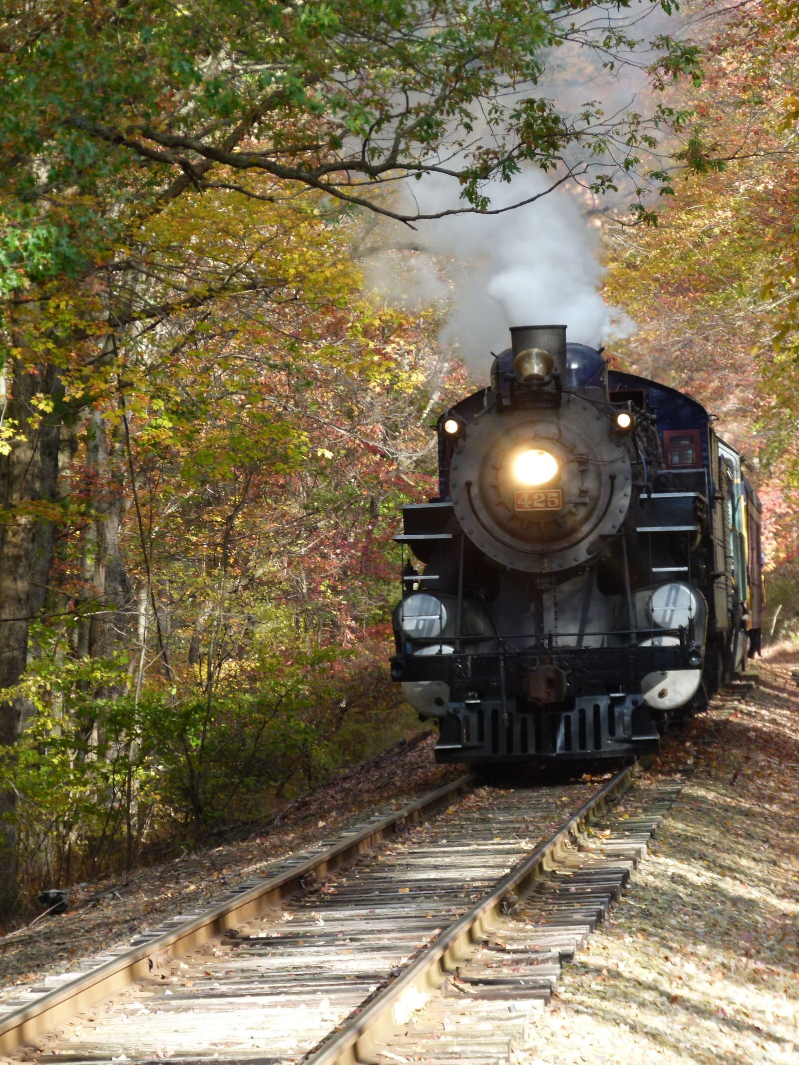 Panasonic Lumix DMC-FZ100 sample photo. Train, steam, steam train photography