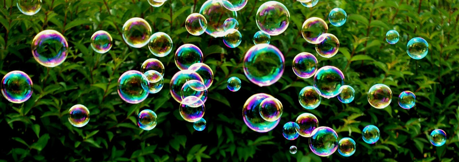 Sony DSC-RX100M5 sample photo. Soap bubbles, colorful, flying photography