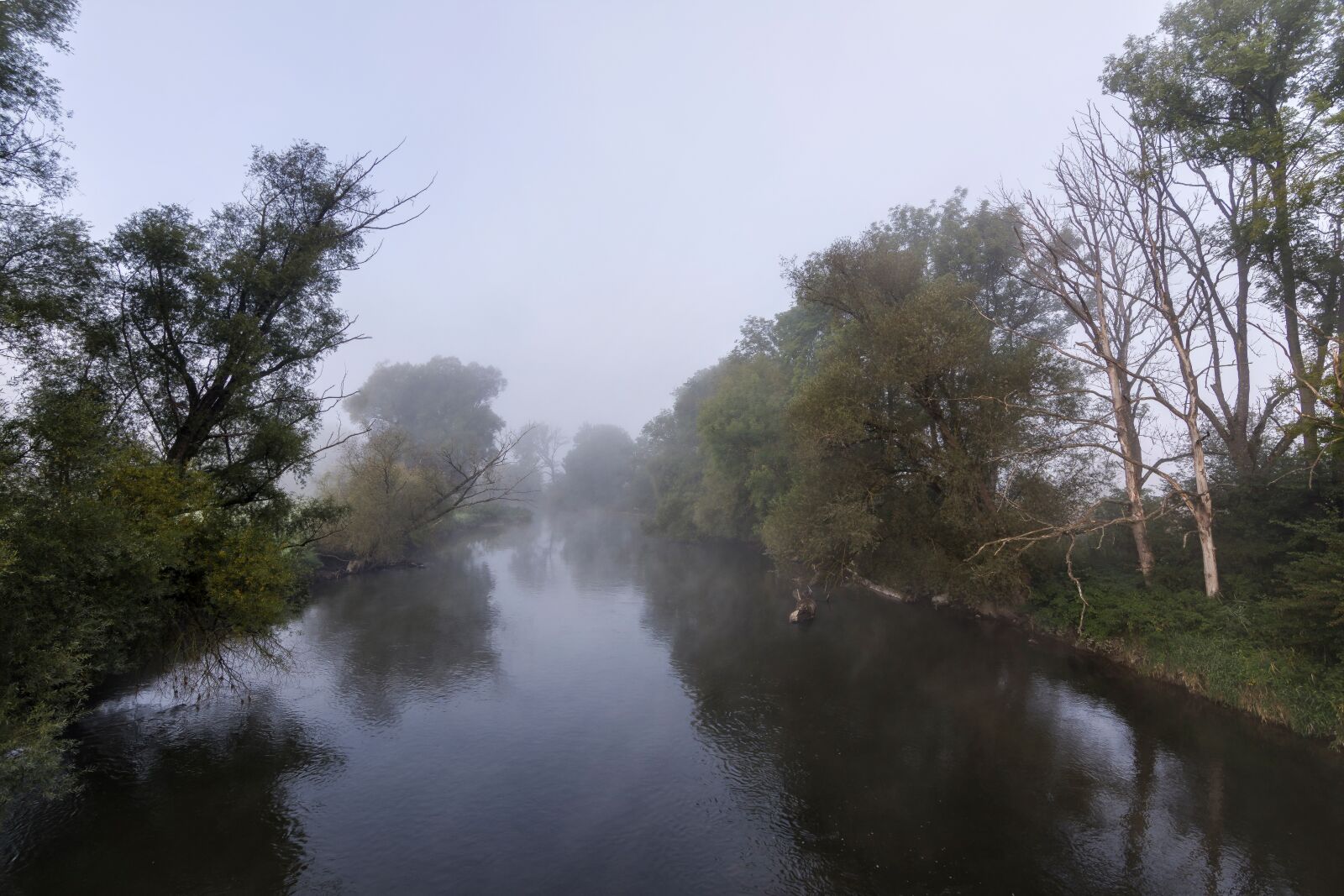 Nikon D7200 sample photo. Nature, fog, autumn photography