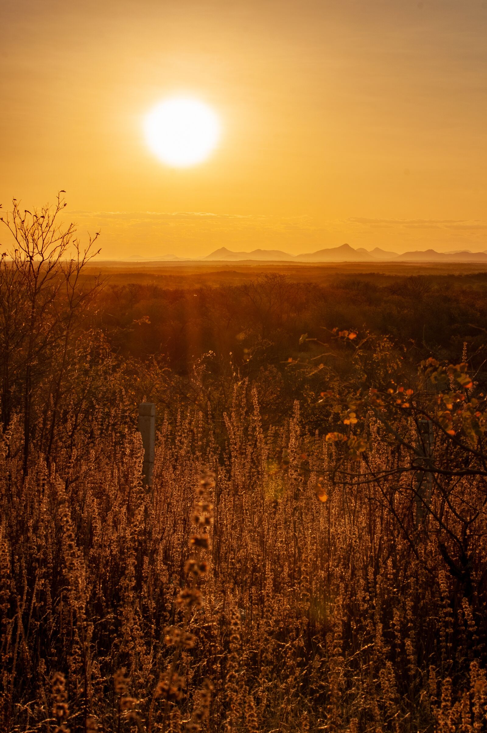 Nikon D5000 sample photo. Sunset, sky, twilight photography