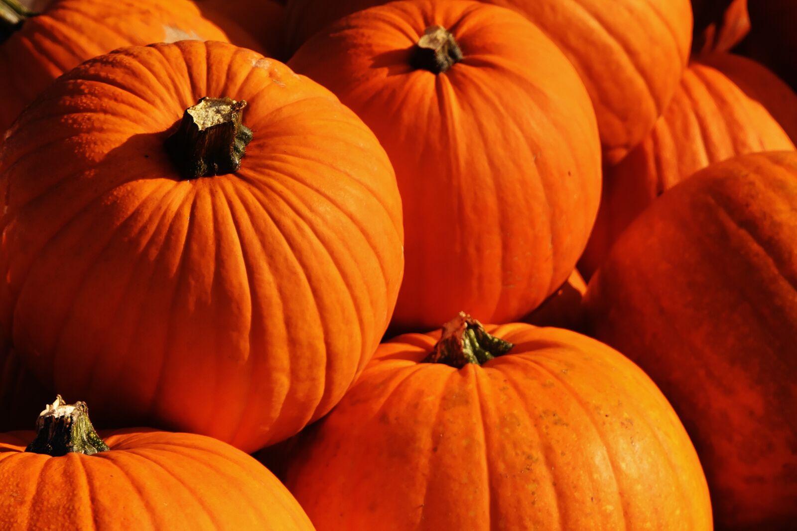 Nikon D7200 sample photo. Pumpkins, autumn, autumn decoration photography