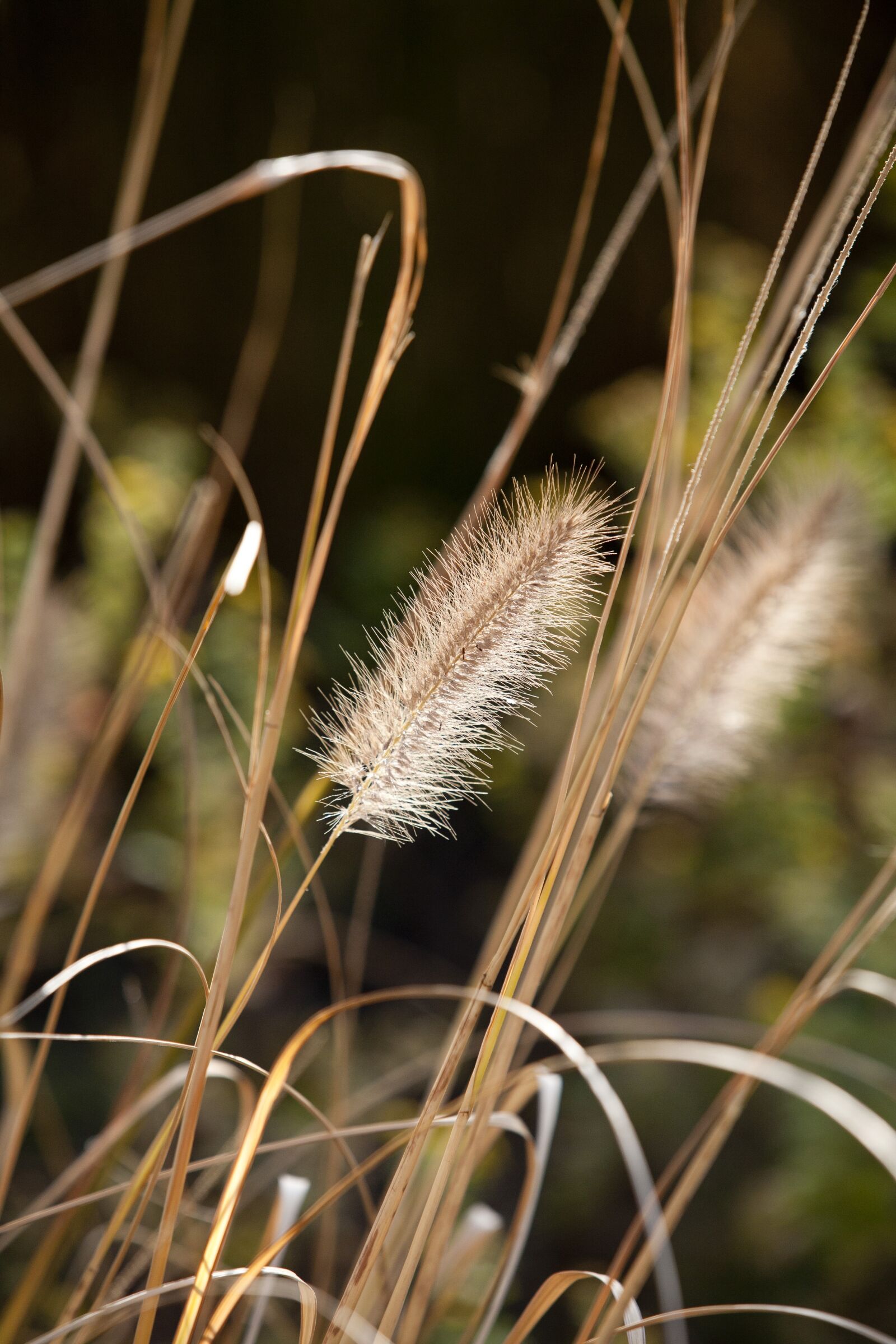 Canon EOS 5D sample photo. Sky park, seoul, han photography