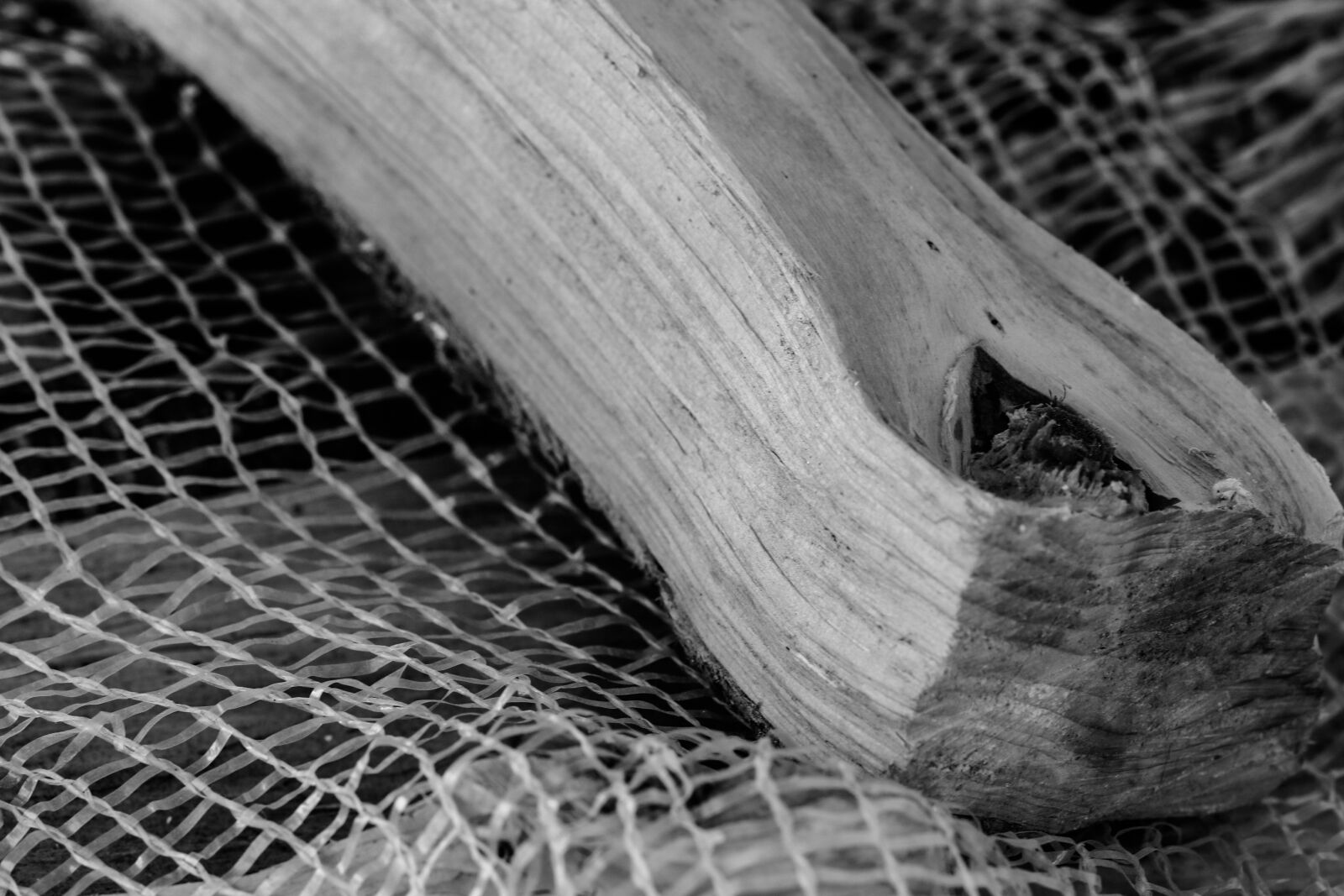 Canon EOS 7D Mark II sample photo. Firewood, black and white photography