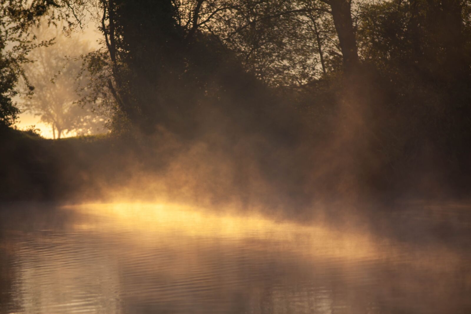 Canon EOS 5D Mark II + Canon EF 300mm F4L IS USM sample photo. Misty river, misty riverbank photography