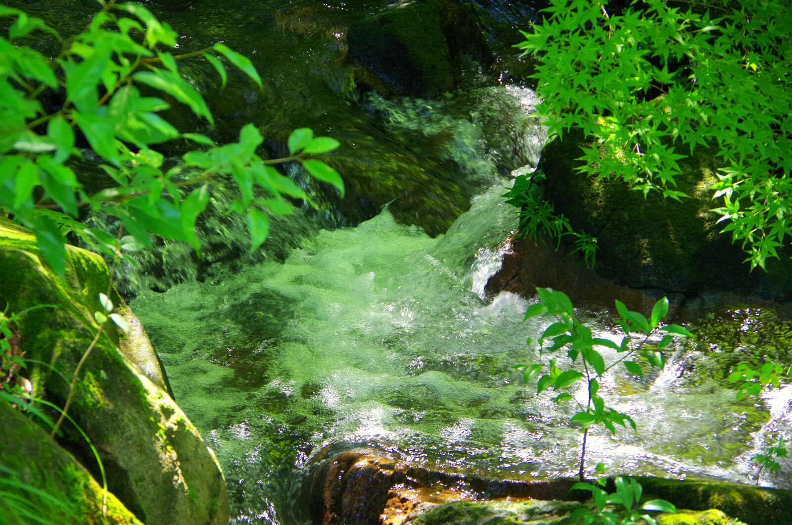 Pentax K-30 sample photo. Water, sunbeams, river photography