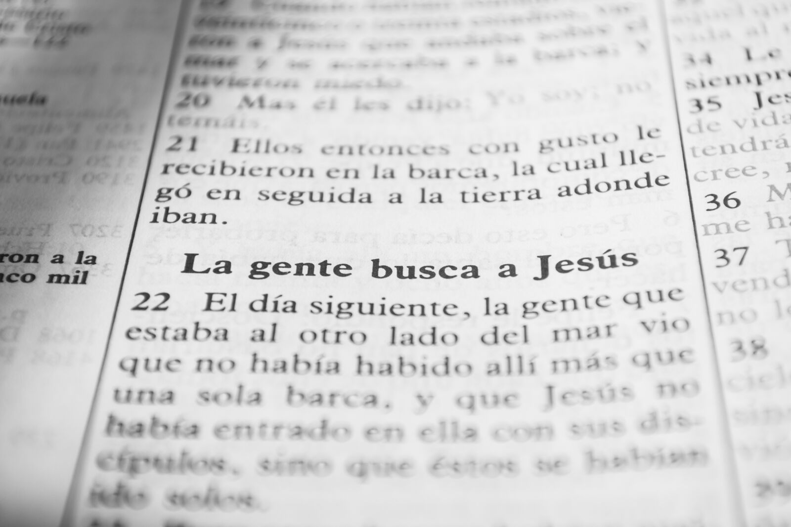 Nikon D5200 sample photo. Book, bible, holy bible photography