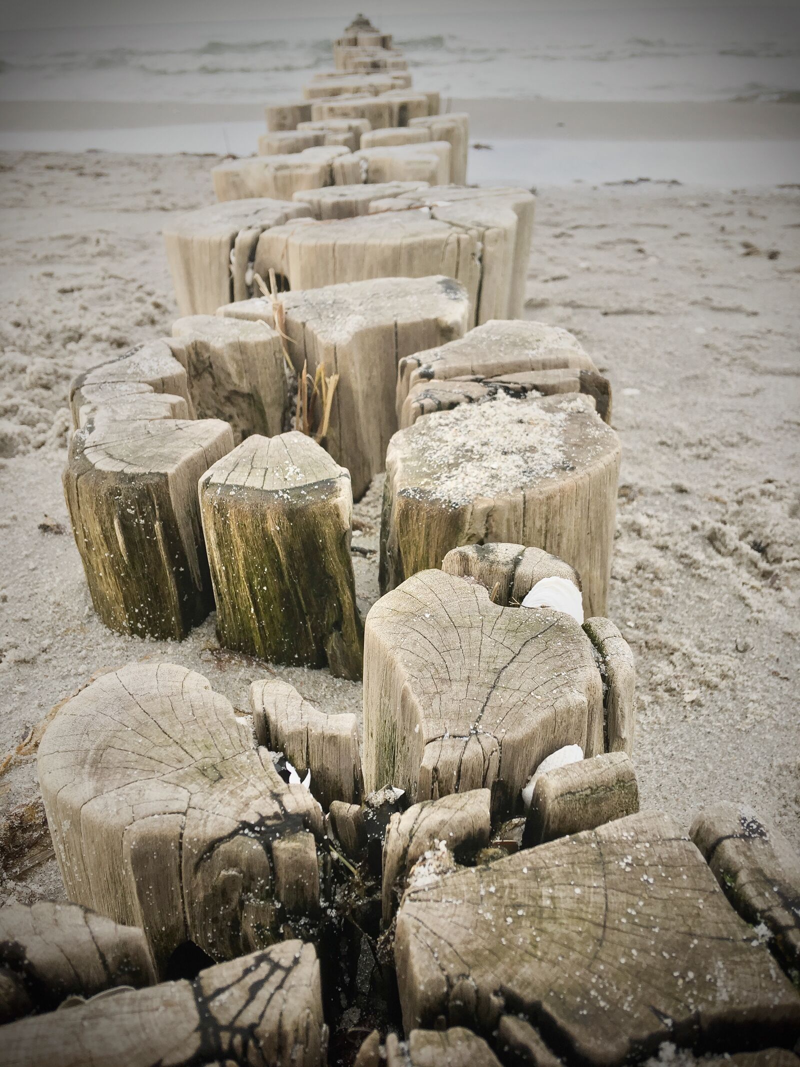 Apple iPhone 6s Plus sample photo. Beach, sea, by the photography