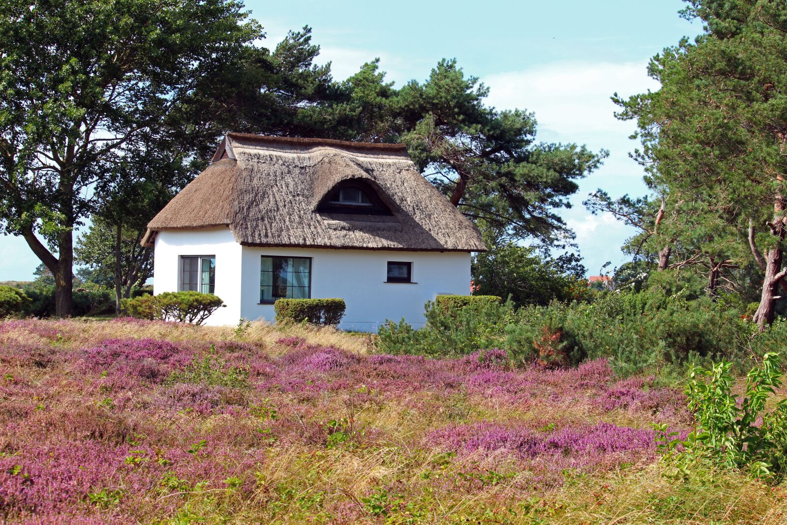 Canon EF-S 55-250mm F4-5.6 IS STM sample photo. Hiddensee, thatched roof, baltic photography