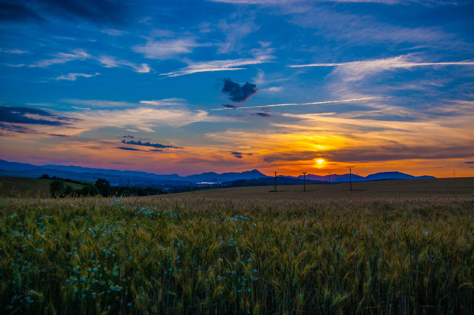 Nikon D40 sample photo. West, sun, evening photography