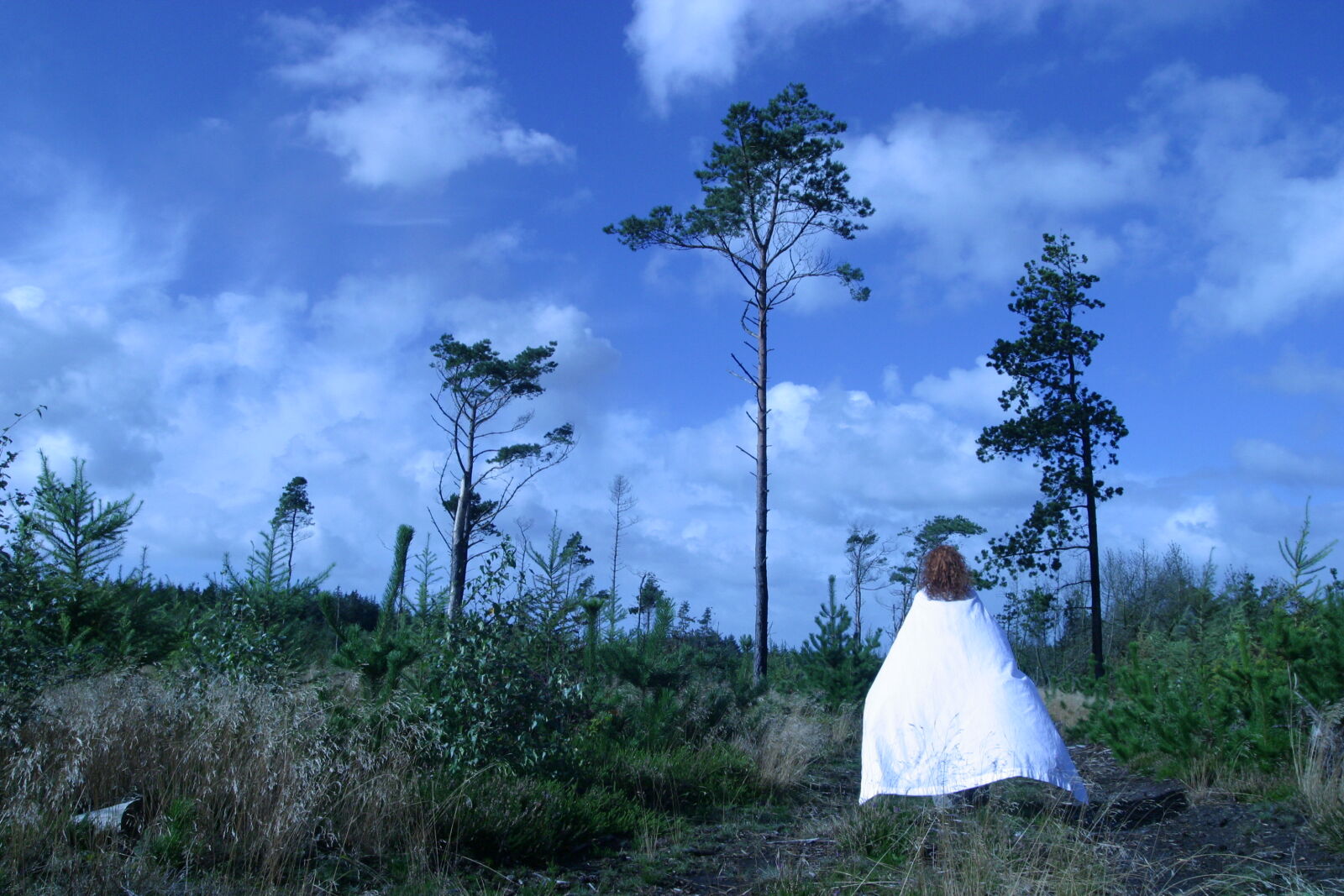 Canon EOS D60 sample photo